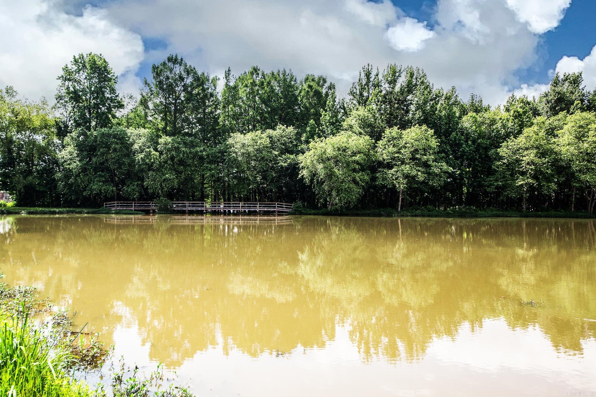 AUSTIN LAKES ON THE BAY ADDN - Residential