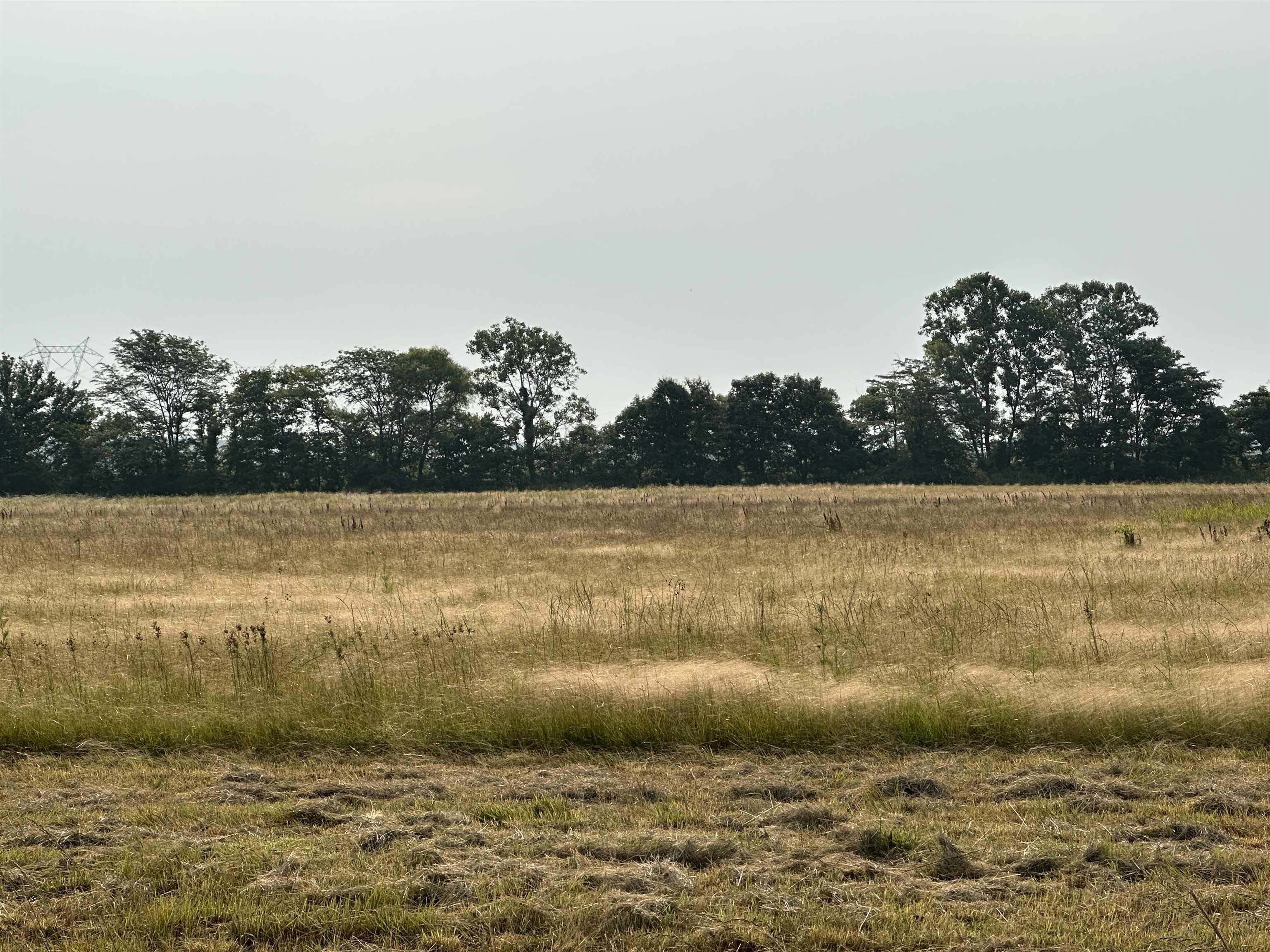 15 Acres Just Outside City Limits - Close to All Amenities! Looking for the perfect blend of privacy and convenience? This 15-acre parcel offers the peace and space of rural living while being just minutes from city amenities like shopping, schools, dining, and healthcare. Located just outside city limits, you can enjoy fewer restrictions ideal for a homestead or small farm. Easy access to major roads and utilities nearby.