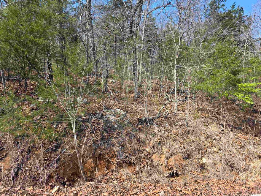 Wonderful, Wooded lot. This lot sits up high above the road. Lots of trees and lots of nature and wildlife. Come check this lot out, check out the view and see where you want to put your vacation home or your forever home. Retire here and fish 7 different lakes and golf 2 different 18-hole golf courses. Don't forget about the beautiful South Fork River that flows right through the Village. Shop in Old Hardy town and trout fish the Spring River. That's living the Cherokee Village lifestyle.