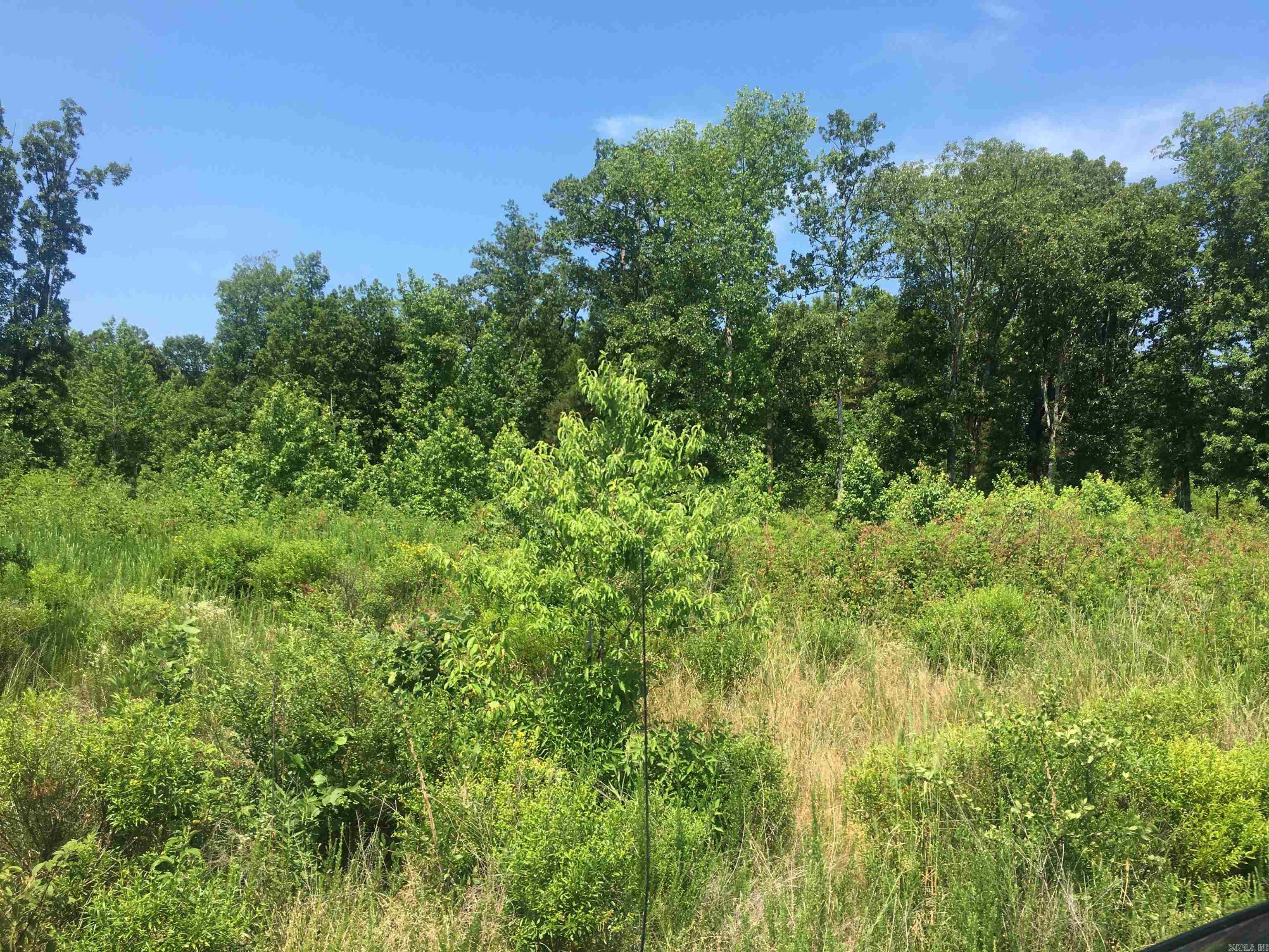 The Bluffs II - Land