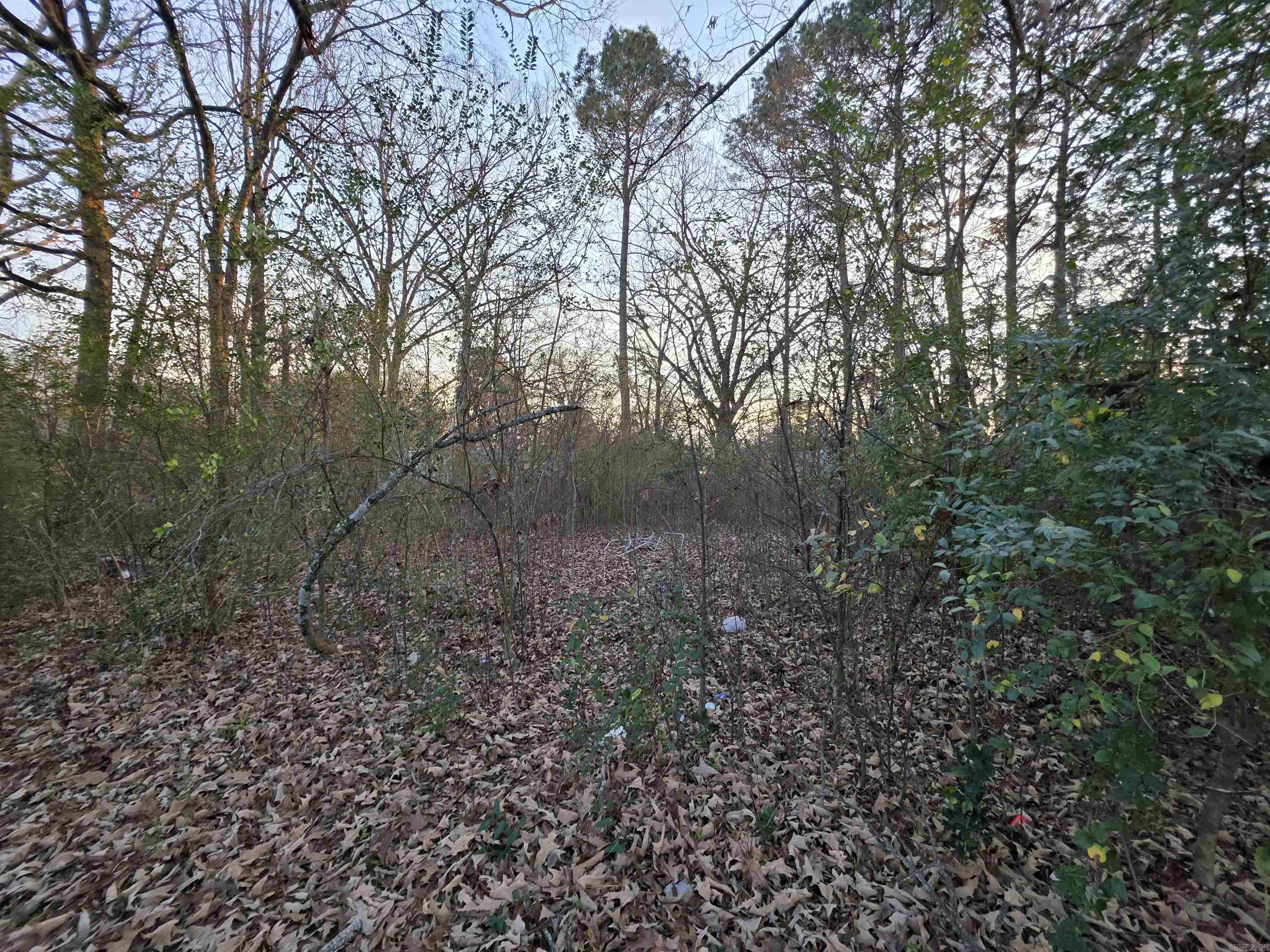 Cabot City Area - Land