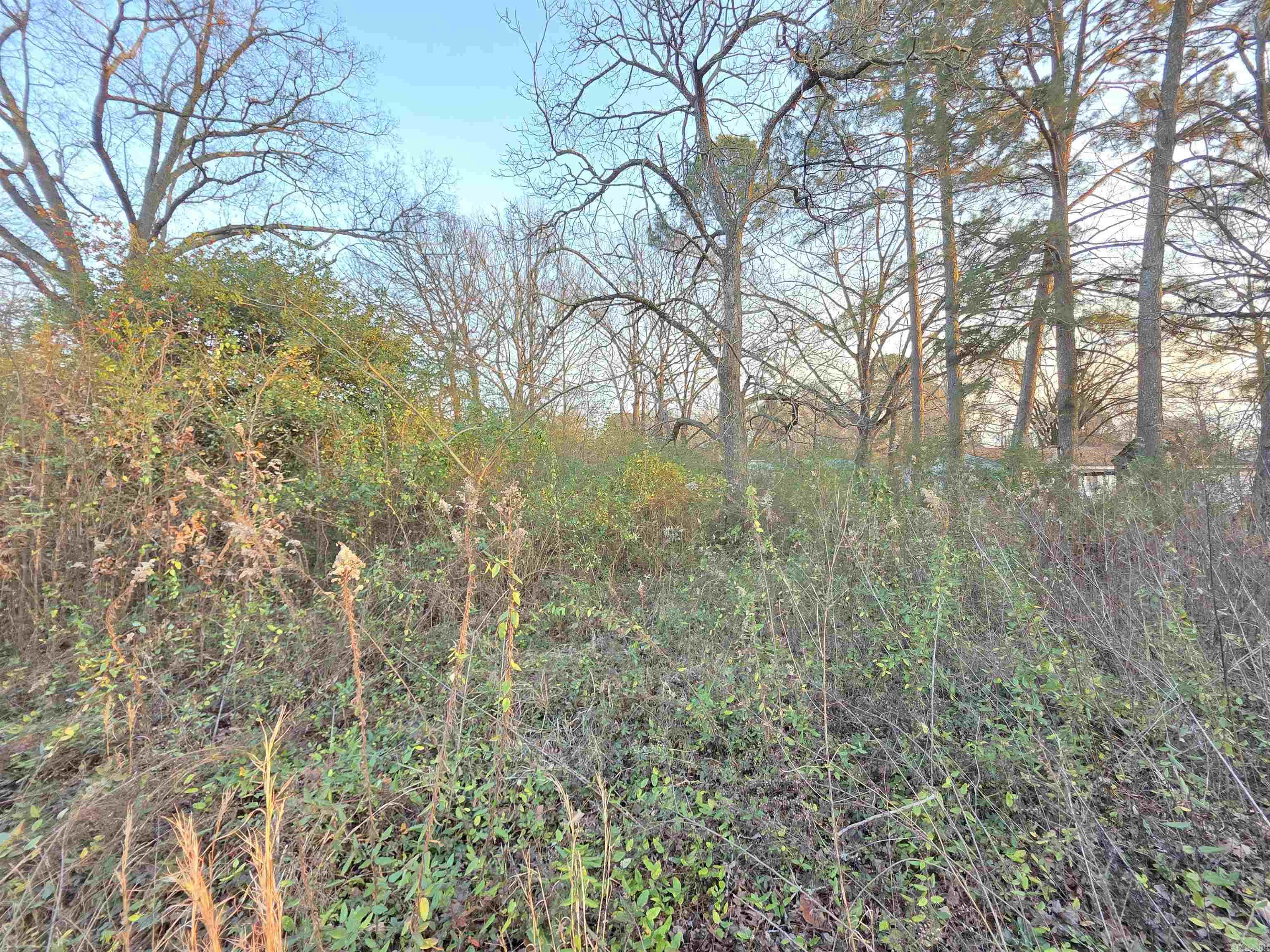 Cabot City Area - Land