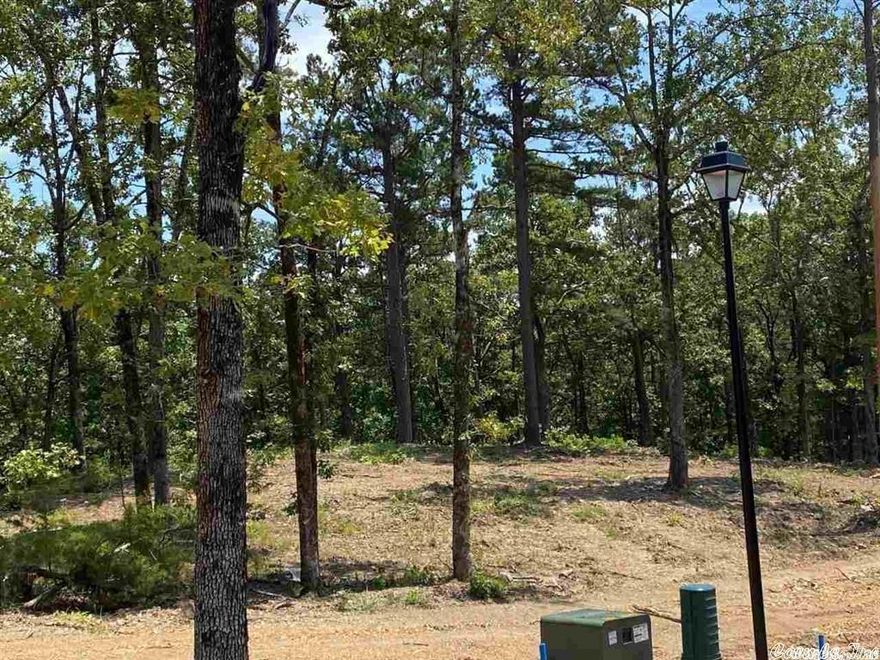 Don't miss this amazing lot, just under 2 acres, in Conway's newest subdivision, Orchard Hills on Round Mountain.  Build your forever dream home with plans and plot available to purchase or start from scratch.  Lots are going fast - don't miss out!