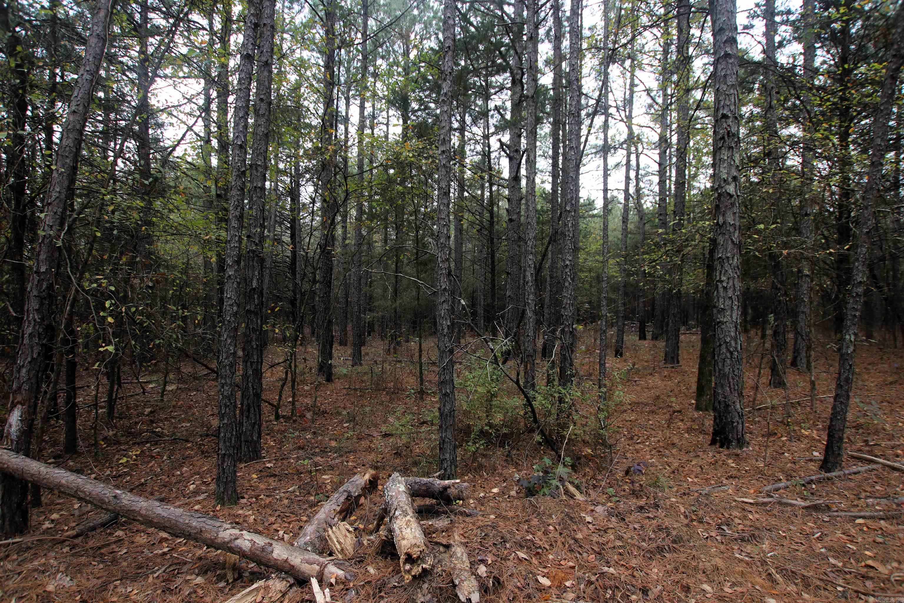 Not in Subdivision - Land