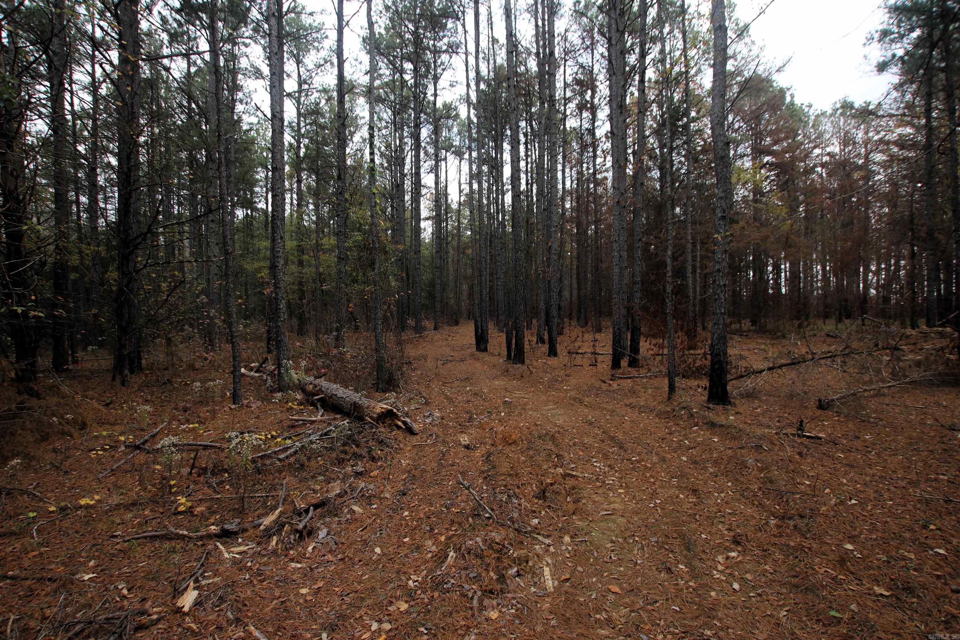 Not in Subdivision - Land