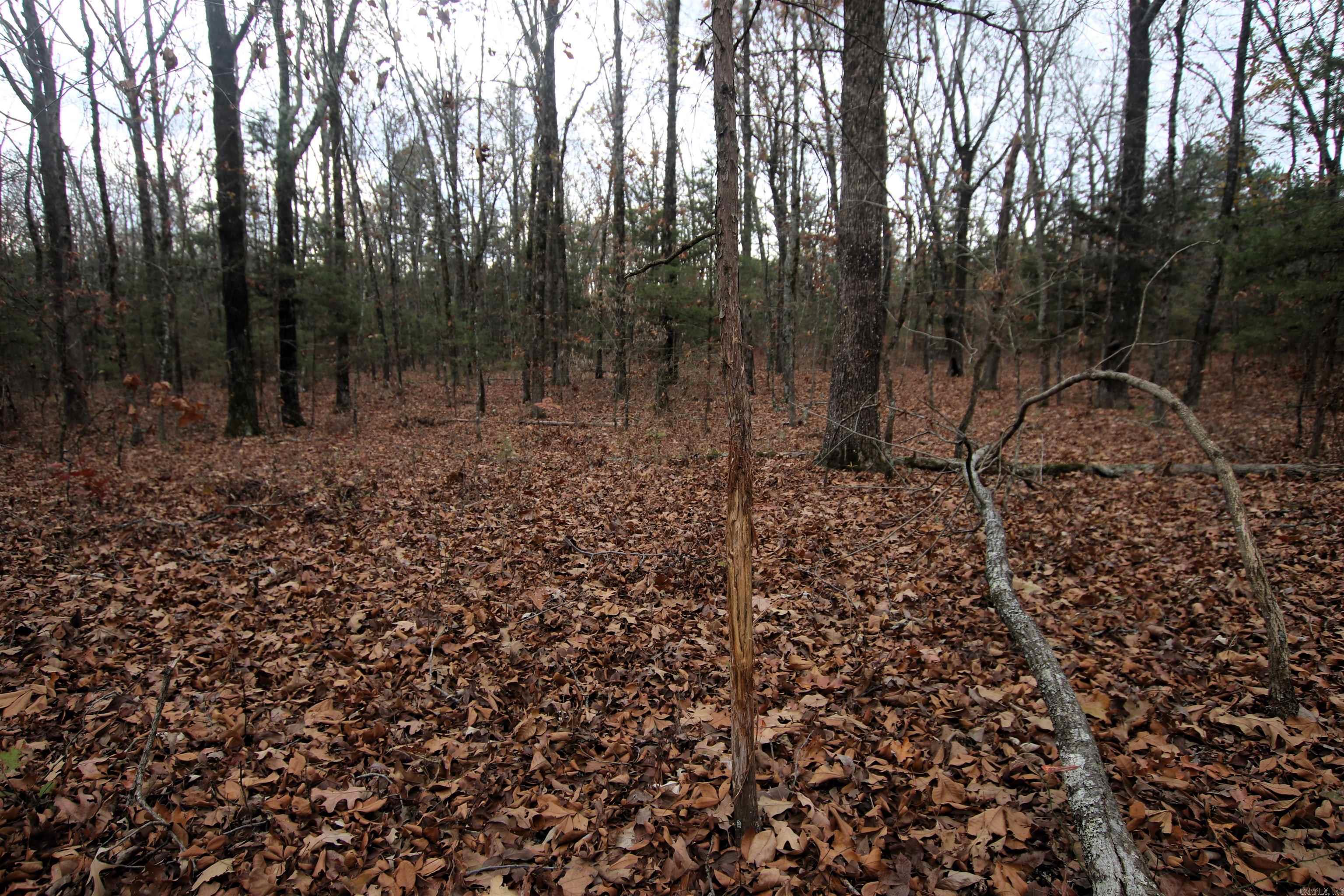 Not in Subdivision - Land