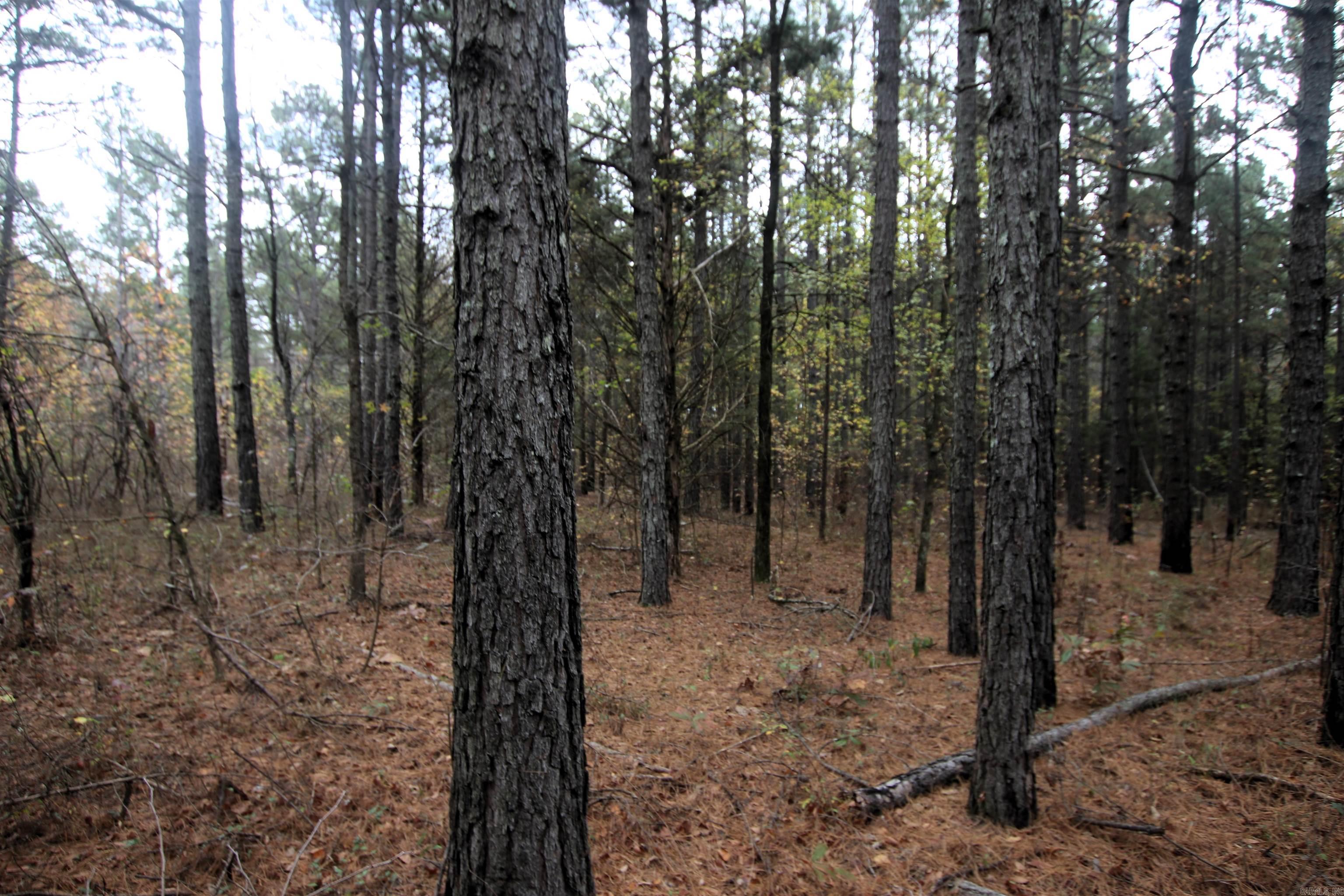 Not in Subdivision - Land