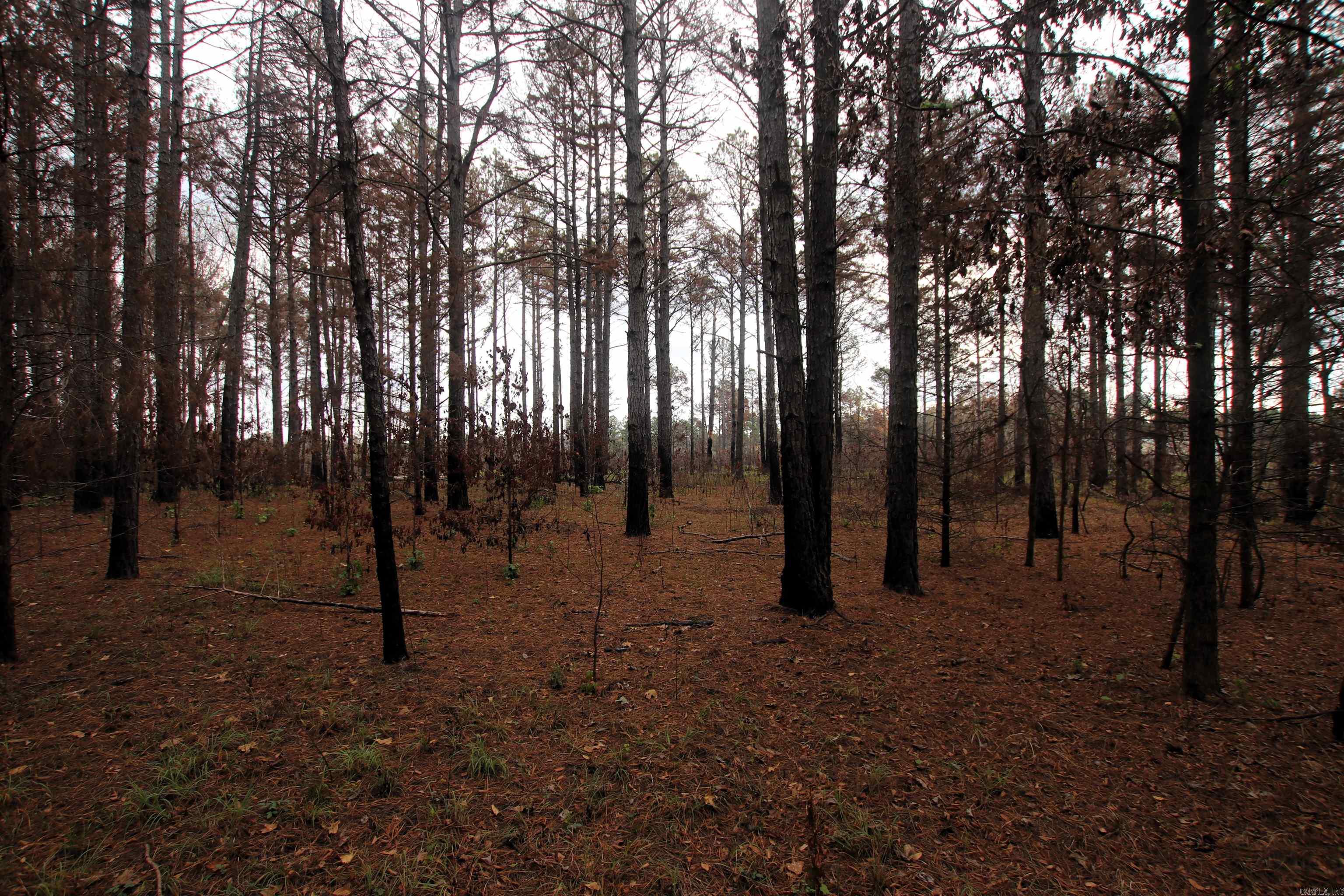 Not in Subdivision - Land