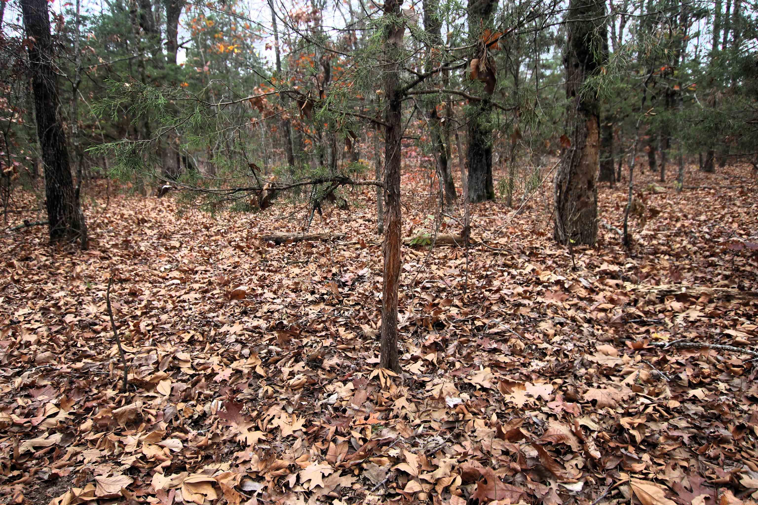 Not in Subdivision - Land