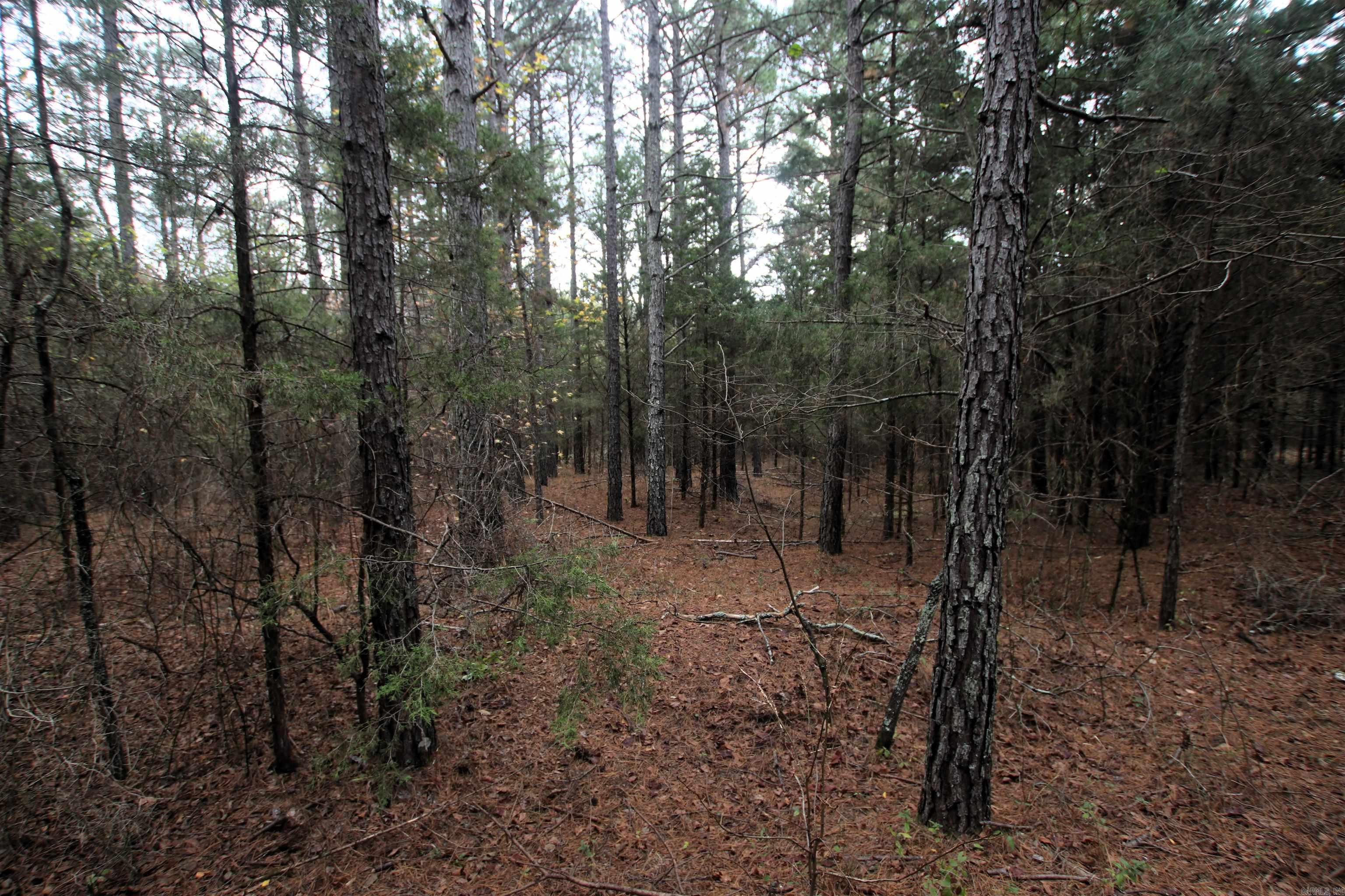 Not in Subdivision - Land