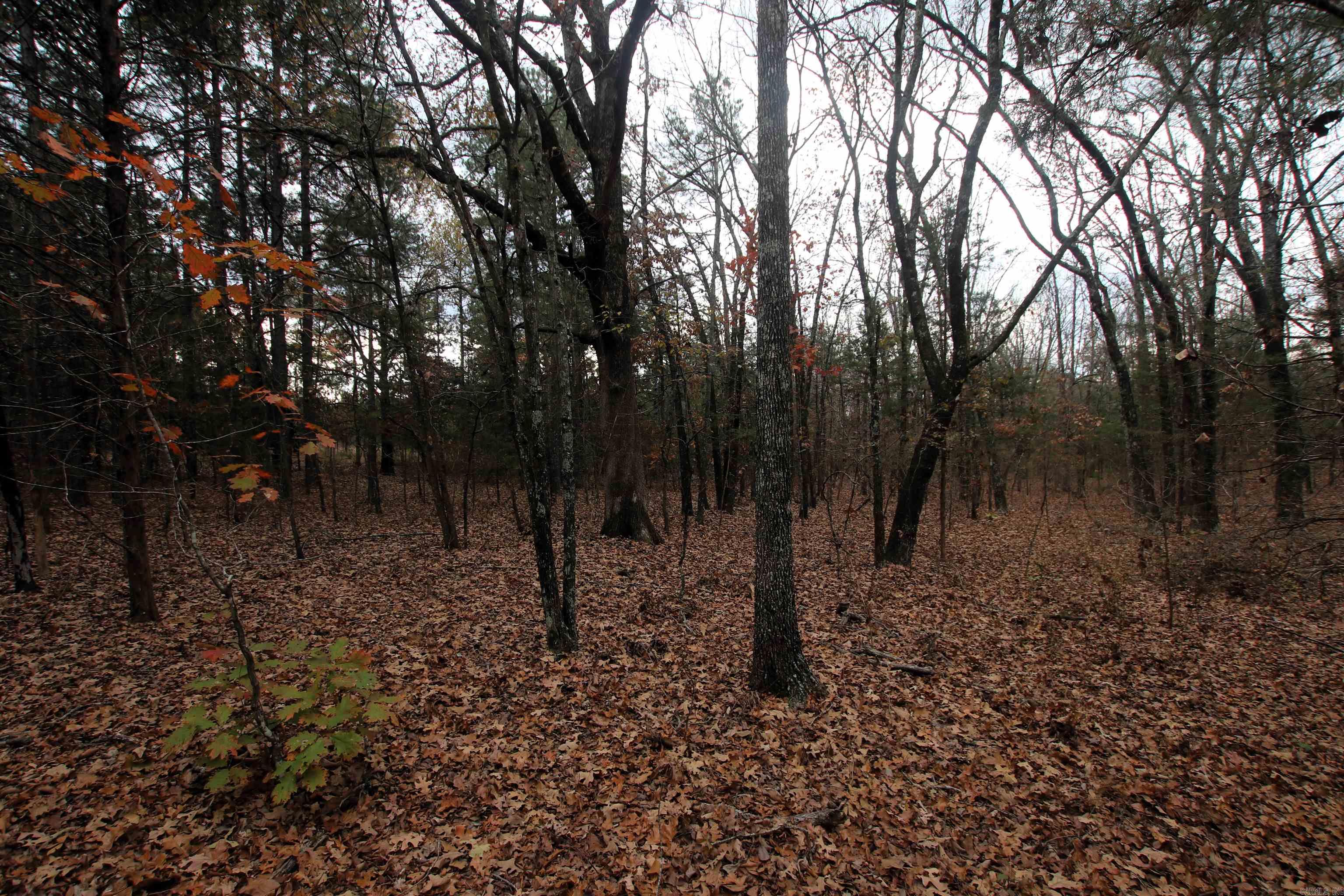 Not in Subdivision - Land