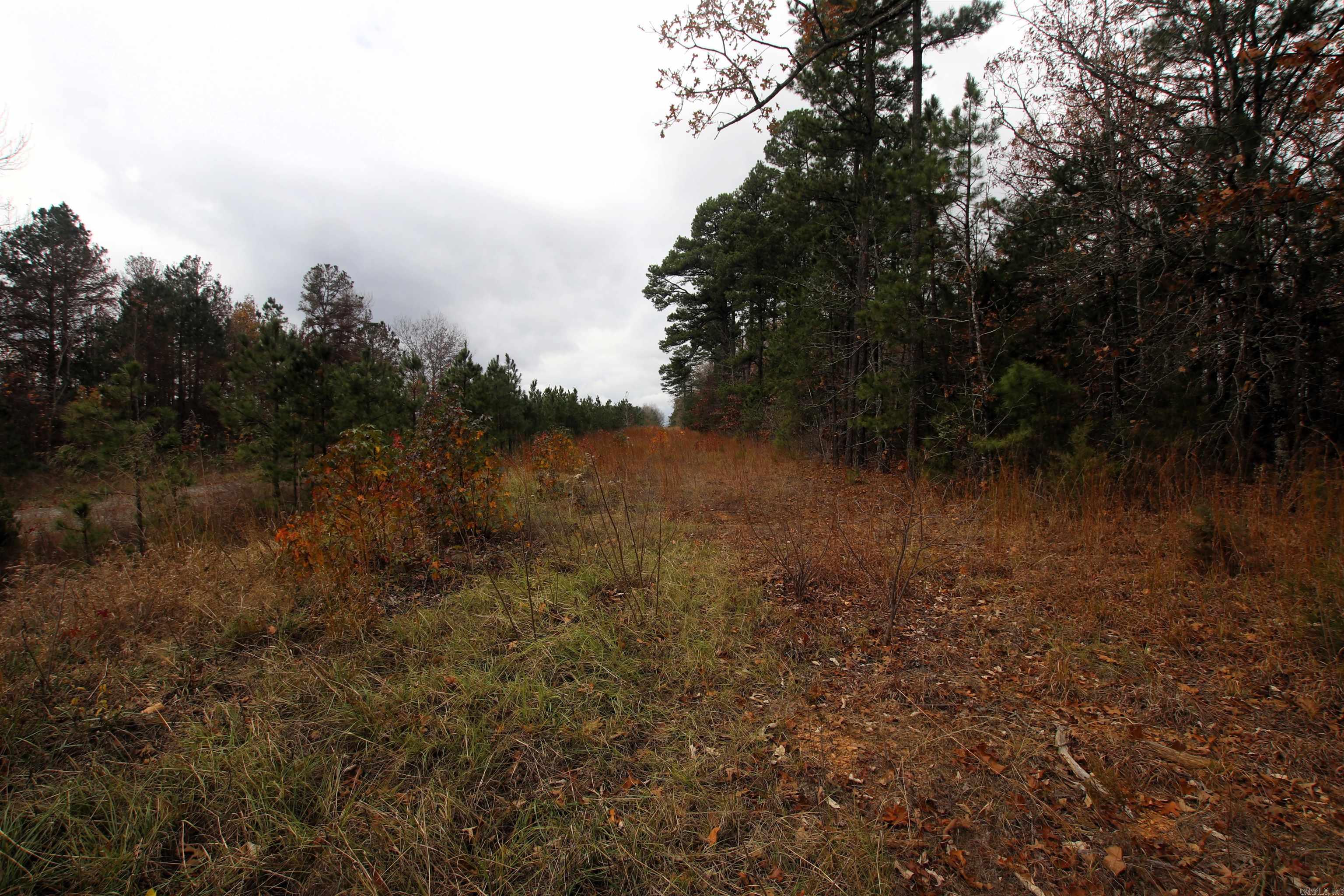 Not in Subdivision - Land