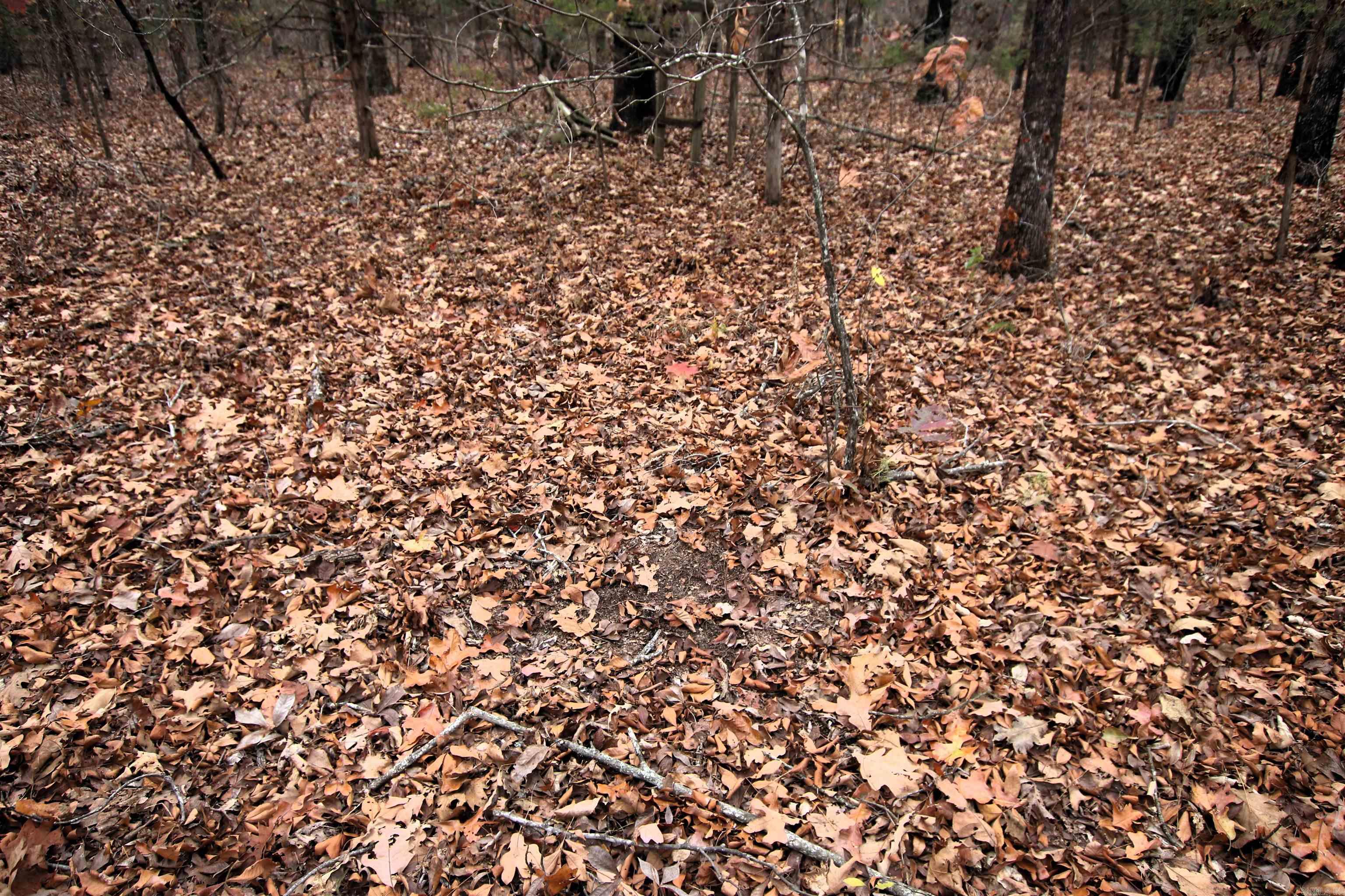 Not in Subdivision - Land