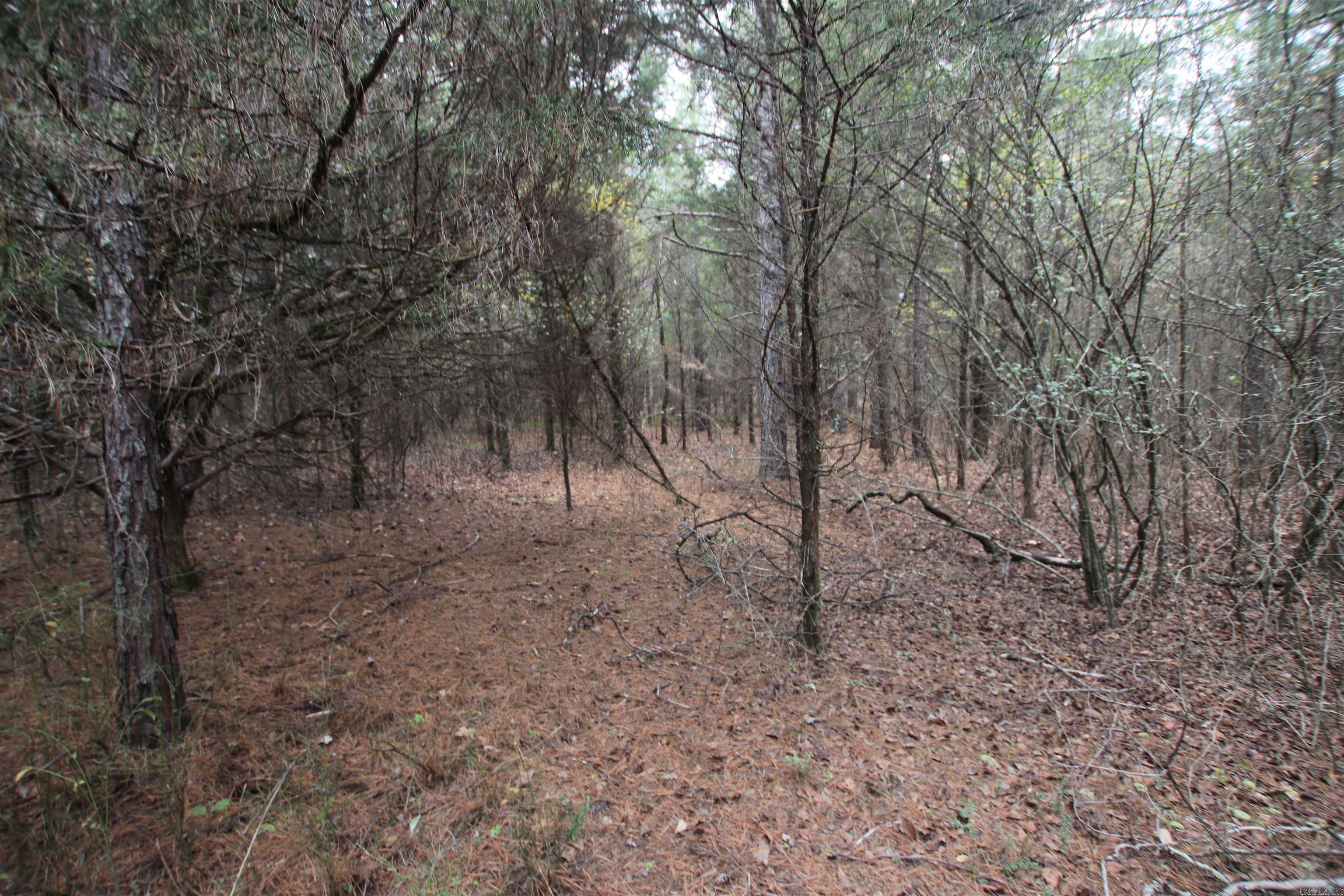 Not in Subdivision - Land