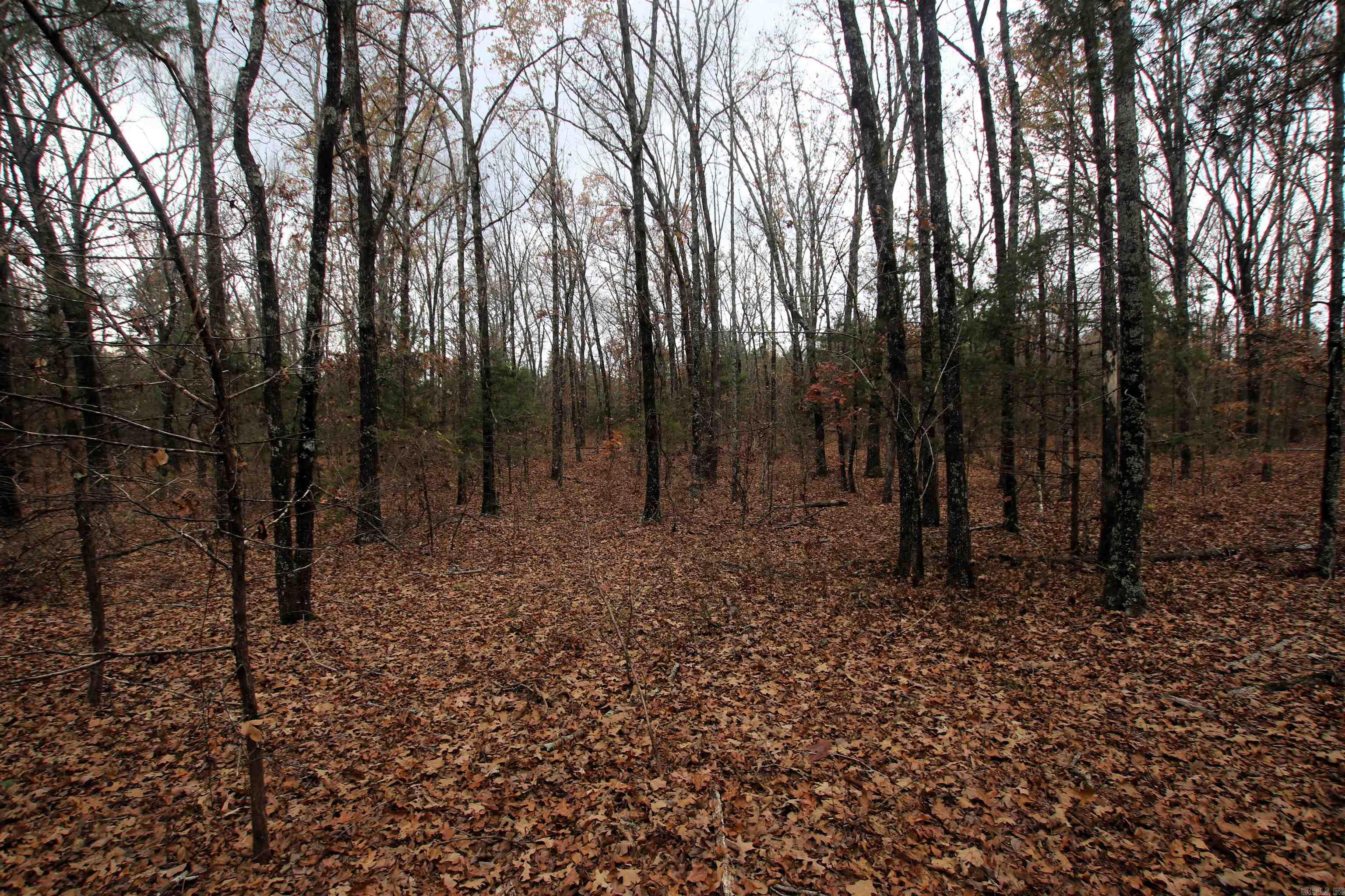 Not in Subdivision - Land