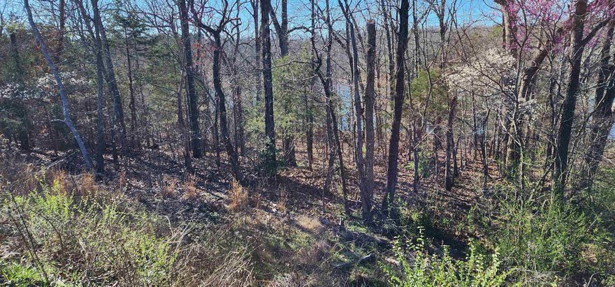 Two unimproved lake Chanute lots on Isleta Drive! Limitless potential for your custom lakefront home on one of the beautiful lakes Cherokee Village has to offer.
