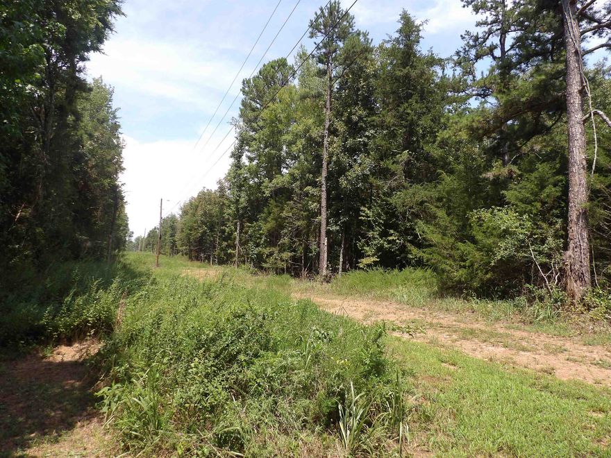 BOARDERS U.S. FOREST SERVICE LAND. This 198 acres lies in the beautiful Strawberry Loop area North of Lamar Arkansas. Beautiful views abound, lots of great sites for your new home plus a almost new 1 year old 3 bed/2bath manufactured home in pristine condition. The land boasts great access to good roads. The land has two wet- weather creeks, a spring, and a small pond. There is a old homestead house conveying at no value and several outbuildings. Call to get more details today!
