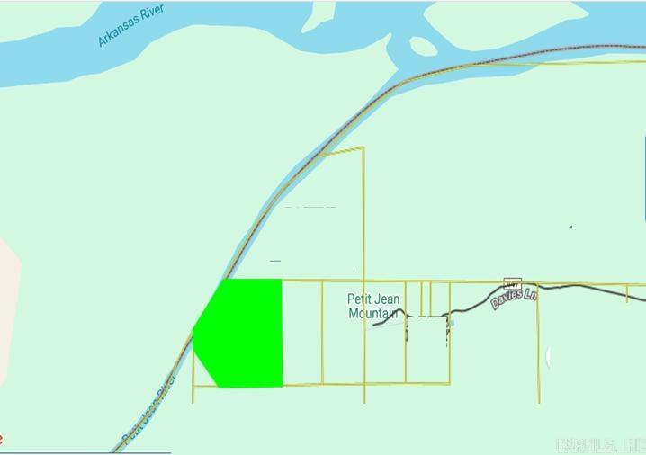ON the RIVER * OFF the GRID 30 Wooded acres on the Petit Jean River off the AR River. Great for hunting, fishing, camping ... build rustic cabin!