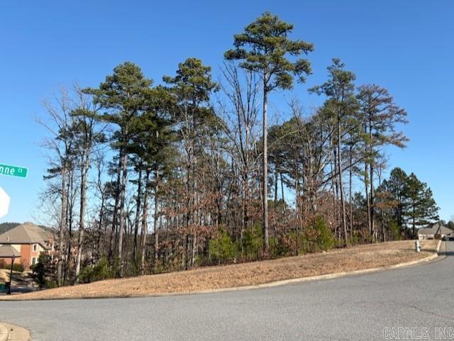 CHENAL VALLEY SEZANNE COURT - Land