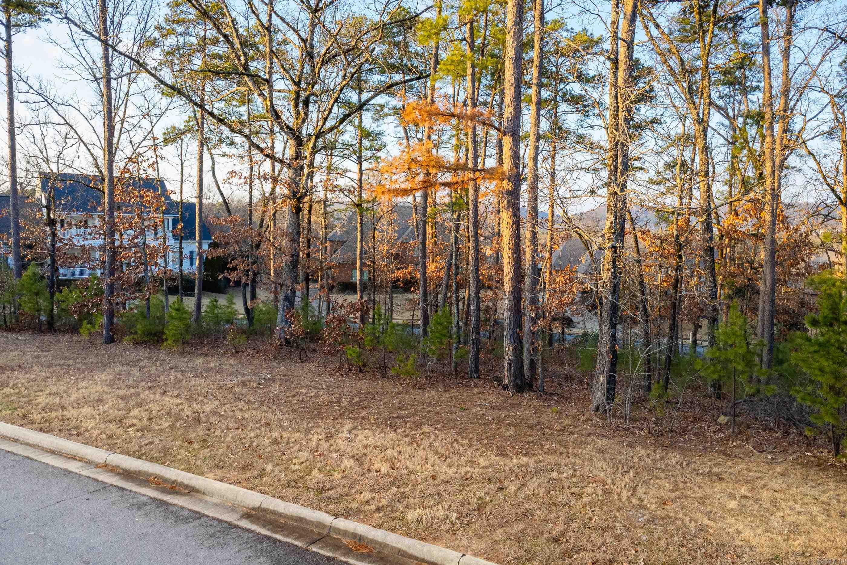 CHENAL VALLEY SEZANNE COURT - Land