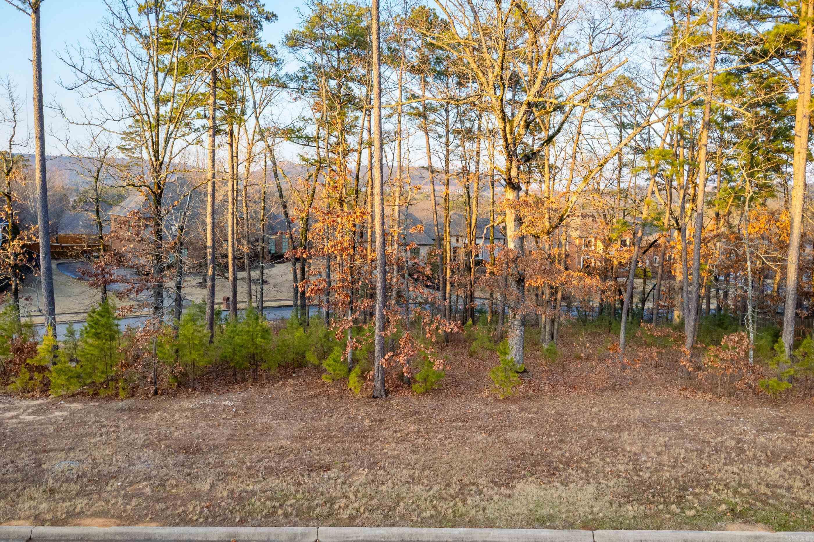 CHENAL VALLEY SEZANNE COURT - Land