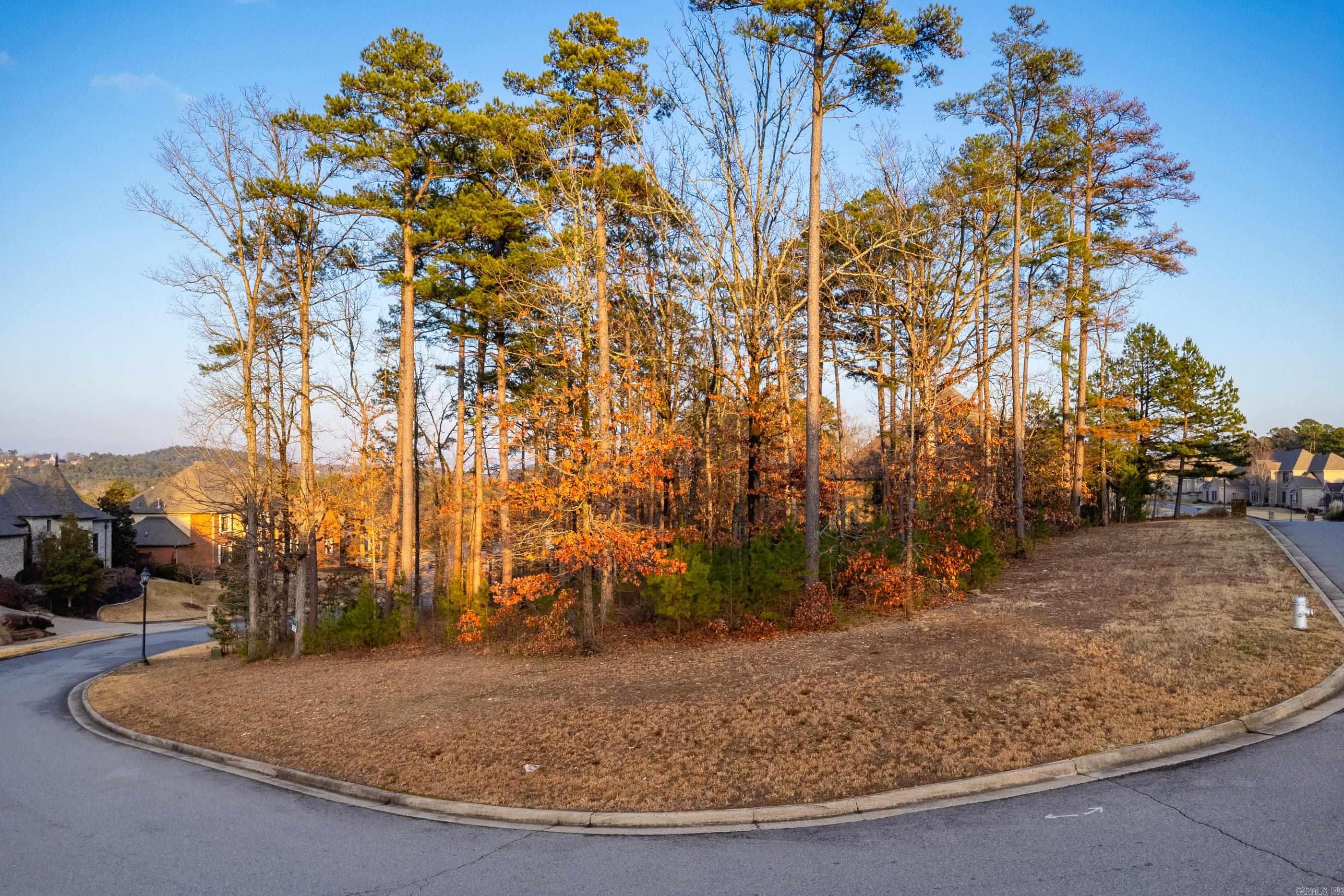 CHENAL VALLEY SEZANNE COURT - Land