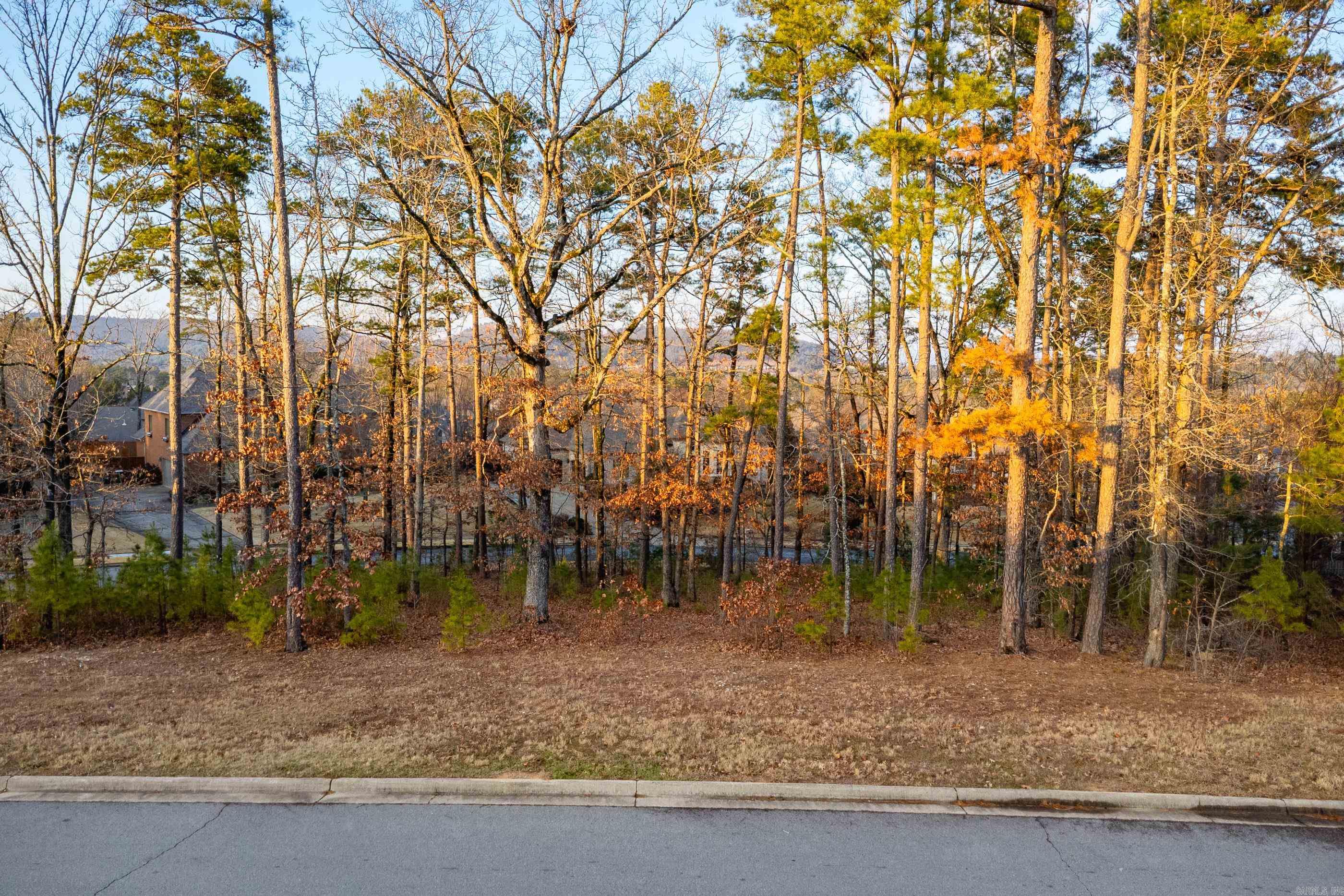 CHENAL VALLEY SEZANNE COURT - Land