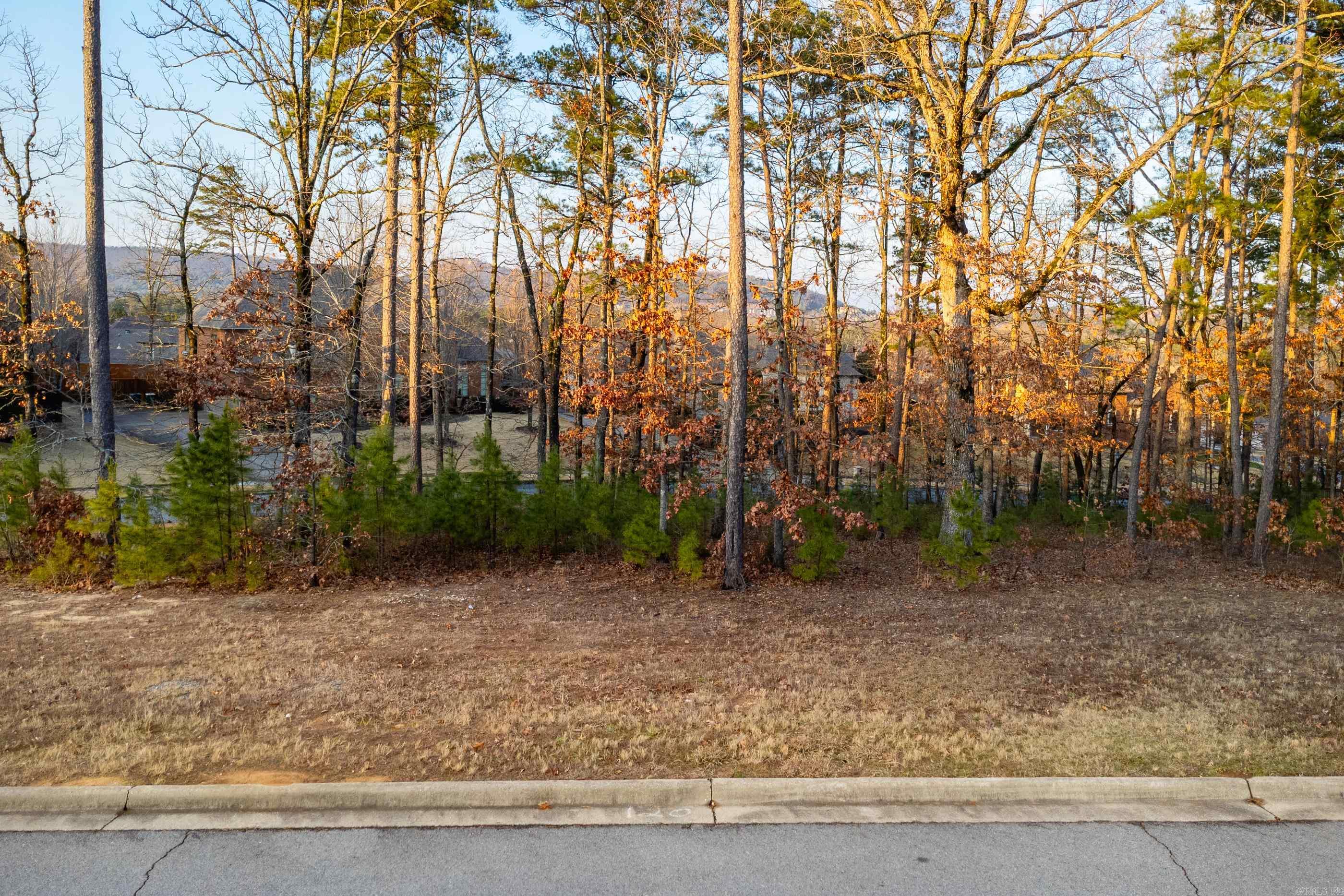 CHENAL VALLEY SEZANNE COURT - Land