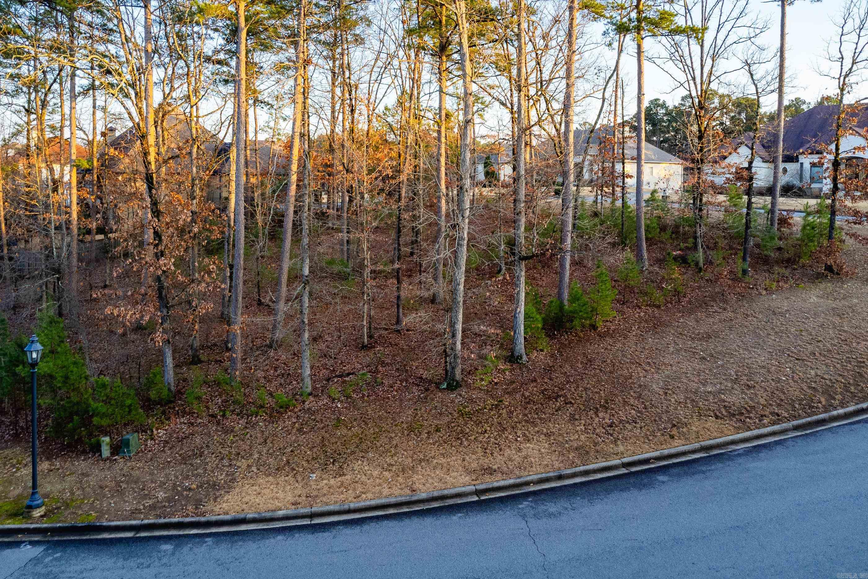 CHENAL VALLEY SEZANNE COURT - Land