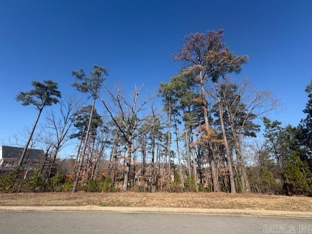 CHENAL VALLEY SEZANNE COURT - Land