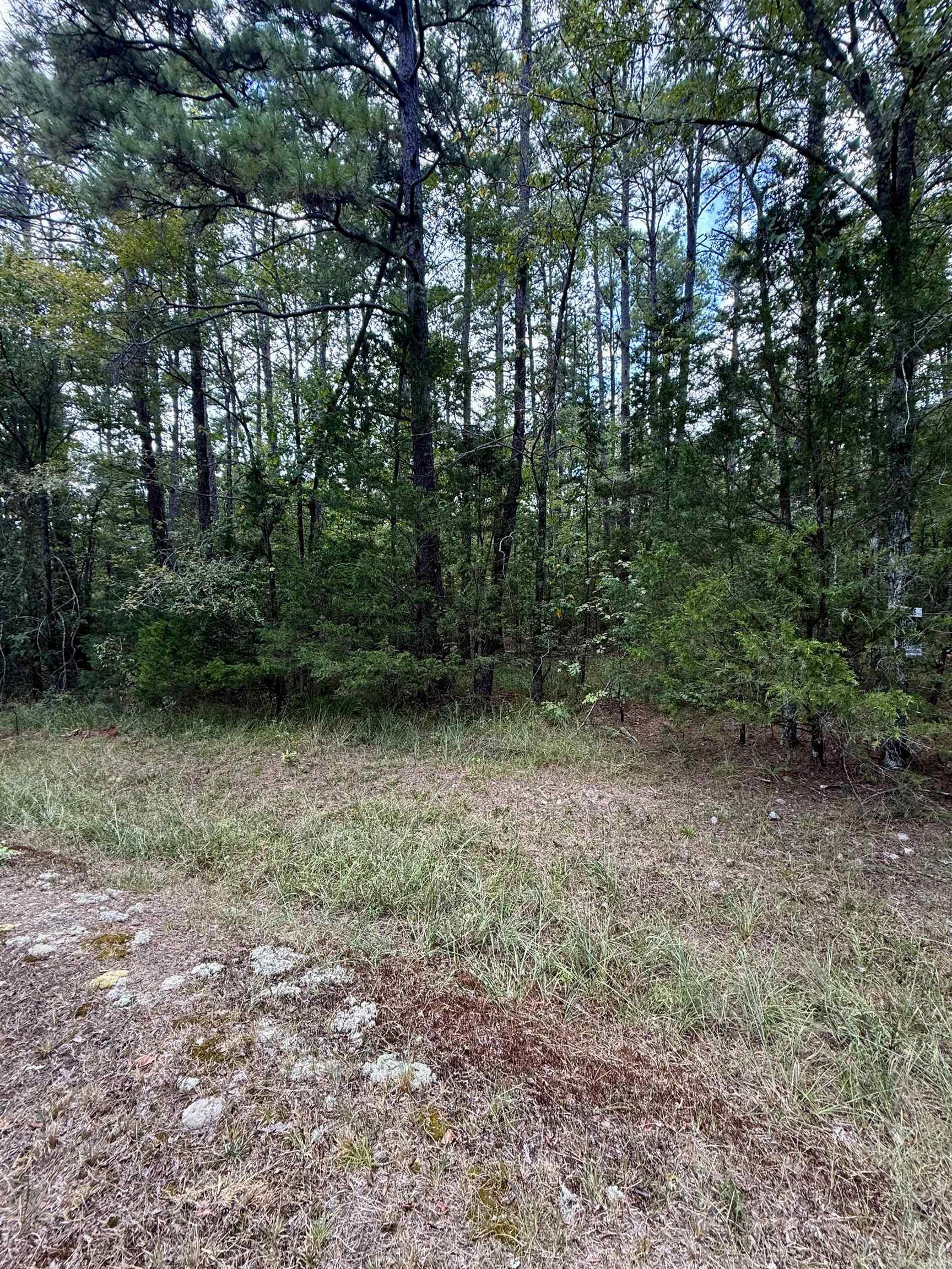 Nice flat buildable lot that features privacy. You can enjoy the nature and peacefulness of this location, all while being close to all that Hot Springs Village has to offer.