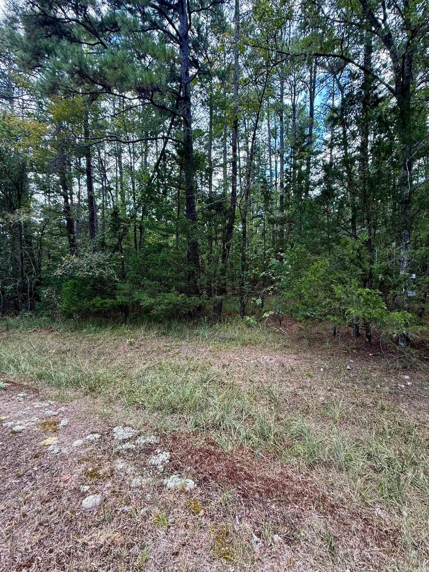 Nice flat buildable lot that features privacy. You can enjoy the nature and peacefulness of this location, all while being close to all that Hot Springs Village has to offer.