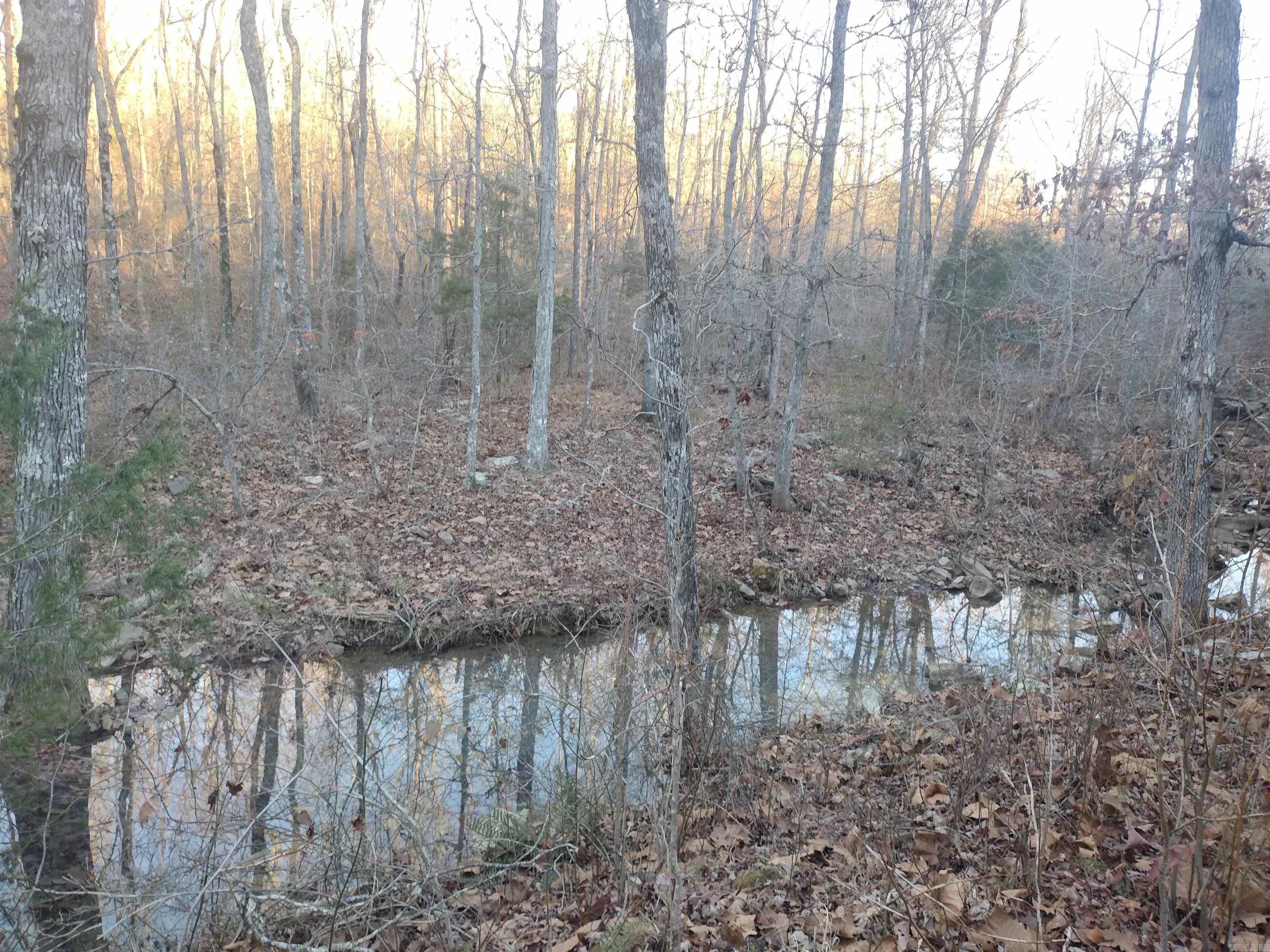 This enchanting three-acre property M/L showcases beautiful building sites, a peaceful stream running through it keep water majority of the year and a serene atmosphere, providing a secluded retreat just a short drive to mountain view, offering the perfect balance between accessibility and privacy.