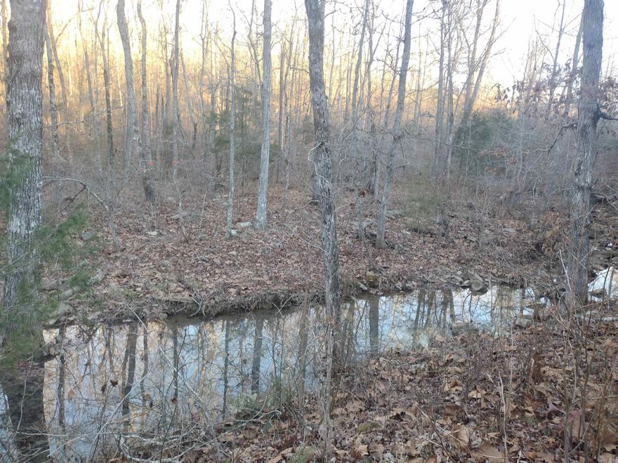 This enchanting three-acre property M/L showcases beautiful building sites, a peaceful stream running through it keep water majority of the year and a serene atmosphere, providing a secluded retreat just a short drive to mountain view, offering the perfect balance between accessibility and privacy.