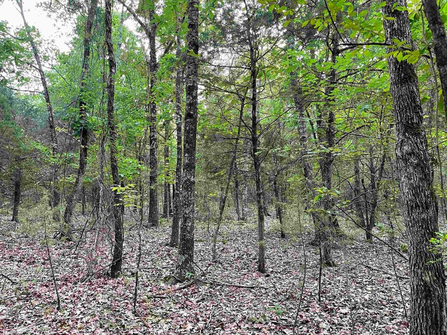 Great acreage for hunting! Mostly wooded, trails, and lots of wildlife!
