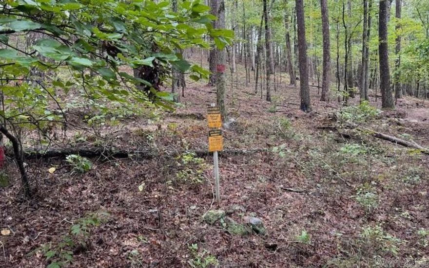 This property in Montgomery County, Arkansas, delivers a rare combination of natural beauty, recreational opportunity, and practical improvements. Bordering the Ouachita National Forest, it offers direct access to thousands of acres of public land, giving you endless options for hiking, hunting, and exploring. The sellers have already invested in infrastructure, including new culverts for reliable access, a trail system throughout the land, and a cleared food plot designed to draw in wildlife. A seasonal creek winds across the property, adding charm, water, and a natural gathering place for deer and turkey. Nearby utilities add flexibility for a cabin site, weekend retreat, or full-time residence. The layout is functional - easy county road access, improved trails for ATVs or side-by-sides, and even a parking area along the creek for pulling off the road and unloading gear. See the trail cam pictures for proof that this is a great hunting property with access to lots more. With proximity to Mount Ida, the “Quartz Capital of the World,” and only a short drive from Hot Springs for dining and shopping, this property fits multiple lifestyles - outdoor adventure, quiet relaxation, or ev