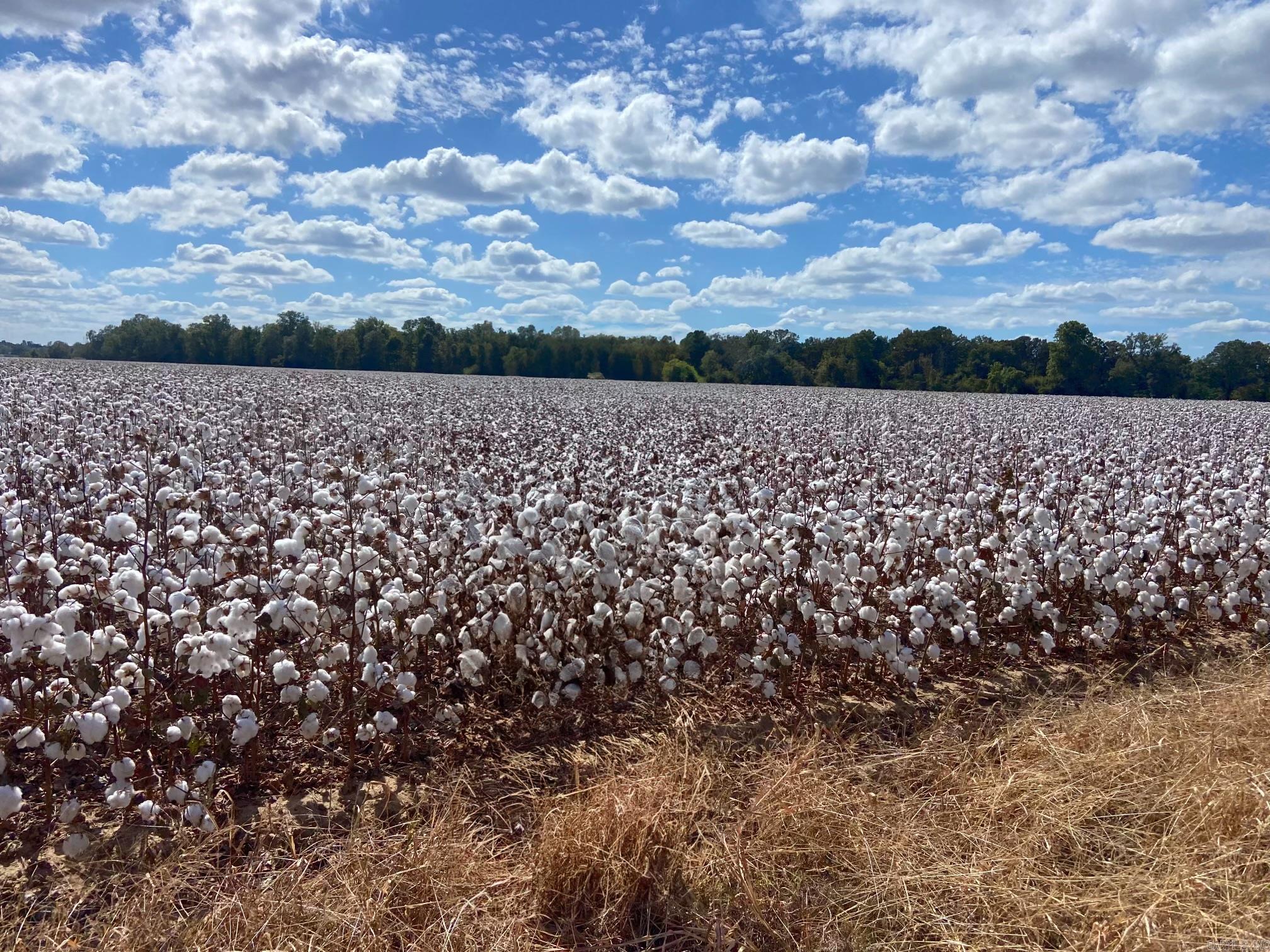 Just Listed: 280 Acres of Prime Farm Land in Lincoln County! This is a rare opportunity to own rich, fertile land that has been a strong producer, including a 4-bale cotton yield this year! Property Highlights: *280 acres of prime agricultural land *110 acres precision leveled for optimized farming *2 wells for reliable water access *Borders Bayou Bartholomew, enhancing soil richness and fertility Whether youāre looking to expand your farming operation or invest in quality farmland, this property offers both productivity and potential. All of the land in the Green highlighting picture is included except the bottom left across the bayou. Contact Bottoms Farm & Home Realty for more details and a tour. Seller stated this year this land produced 4 bale/acre. This land wonāt last long! Bottoms Farm & Home Realty.