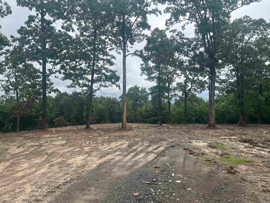 The perfect opportunity to own 6.03 acres of mostly level, cleared land, located just outside the city limits. Enjoy peaceful country living with stunning views, all while having the convenience of modern amenities. A water meter and electricity are already on the property, and high-speed fiber internet is available. With no restrictions, this versatile property is ideal for an RV, mobile home, or your dream build. Whether you're looking for a weekend getaway, full-time residence, or investment, this land offers endless potential.