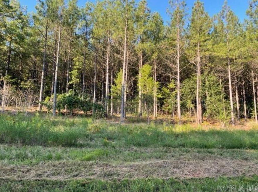 Beautiful 8.66 acres with concrete drive already in place. Not in city limits. Property will need well and septic. On Entergy. No mobiles allowed.