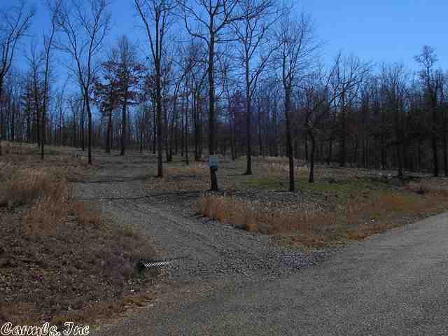 Bright Morning Star - Land