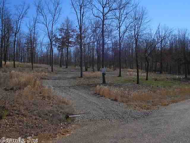 Bright Morning Star - Land