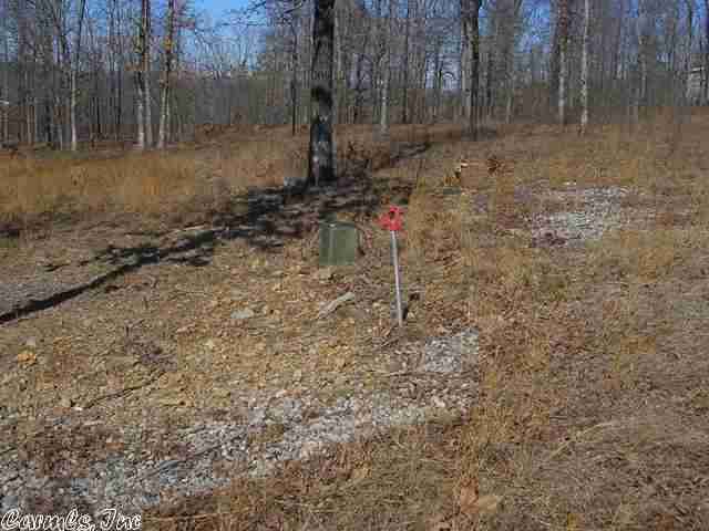 Bright Morning Star - Land