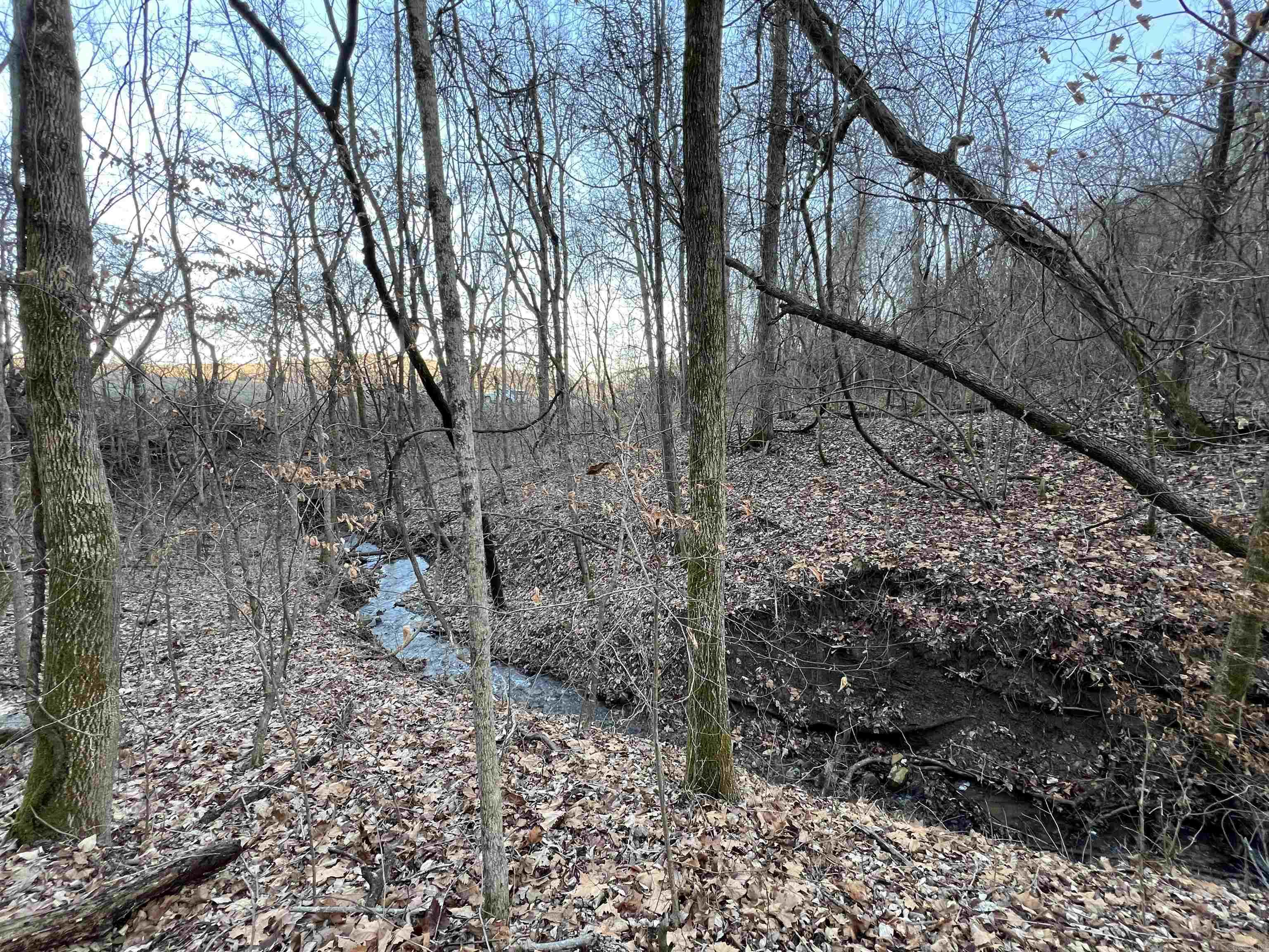 Metes & Bounds - Land