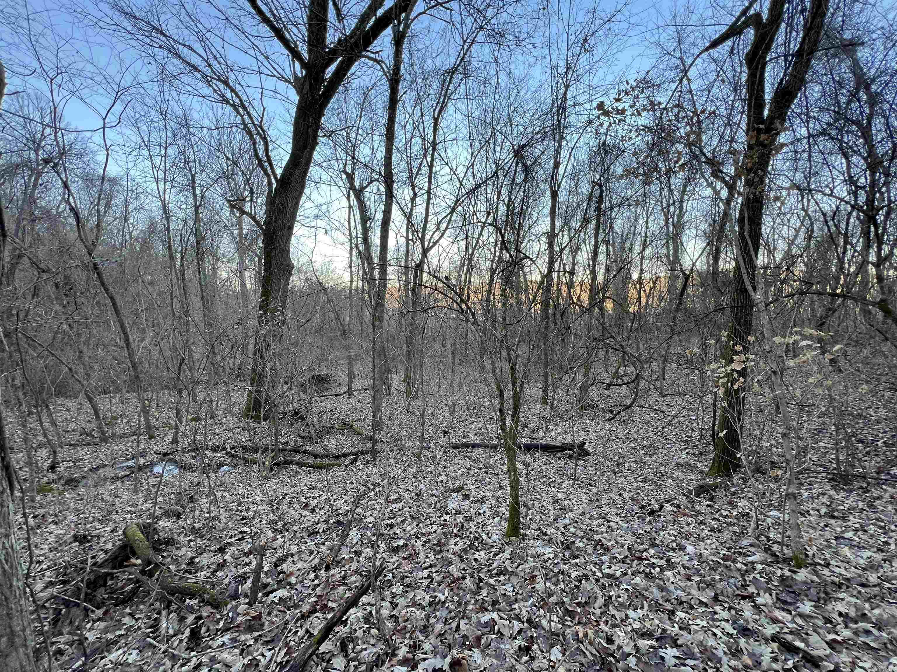 Metes & Bounds - Land