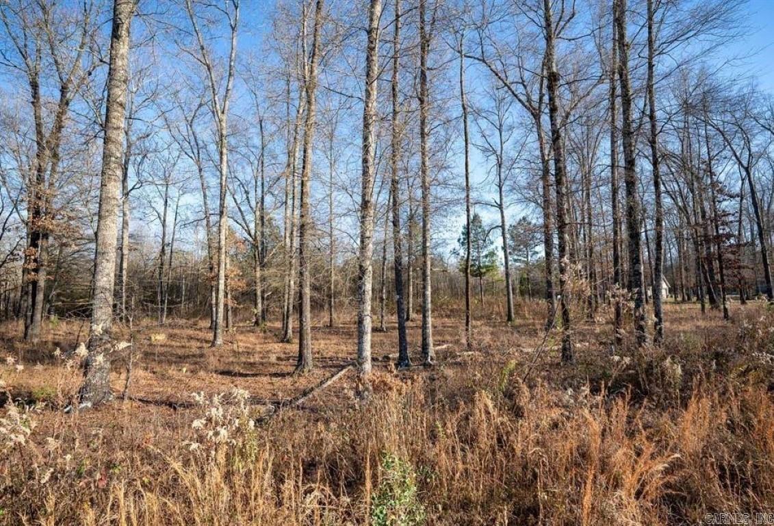 Beautiful lot to build your dream home