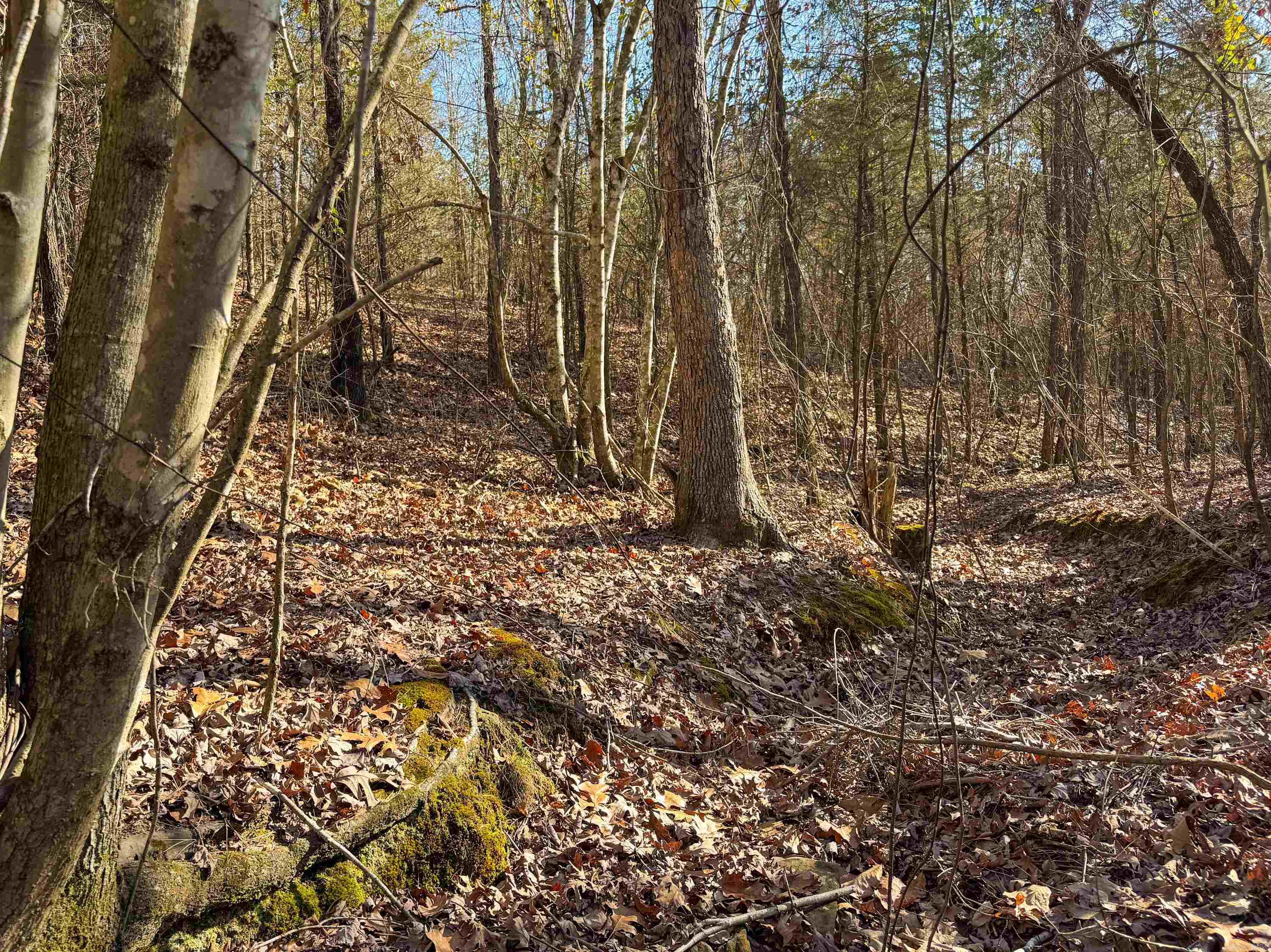 Metes & Bounds - Land