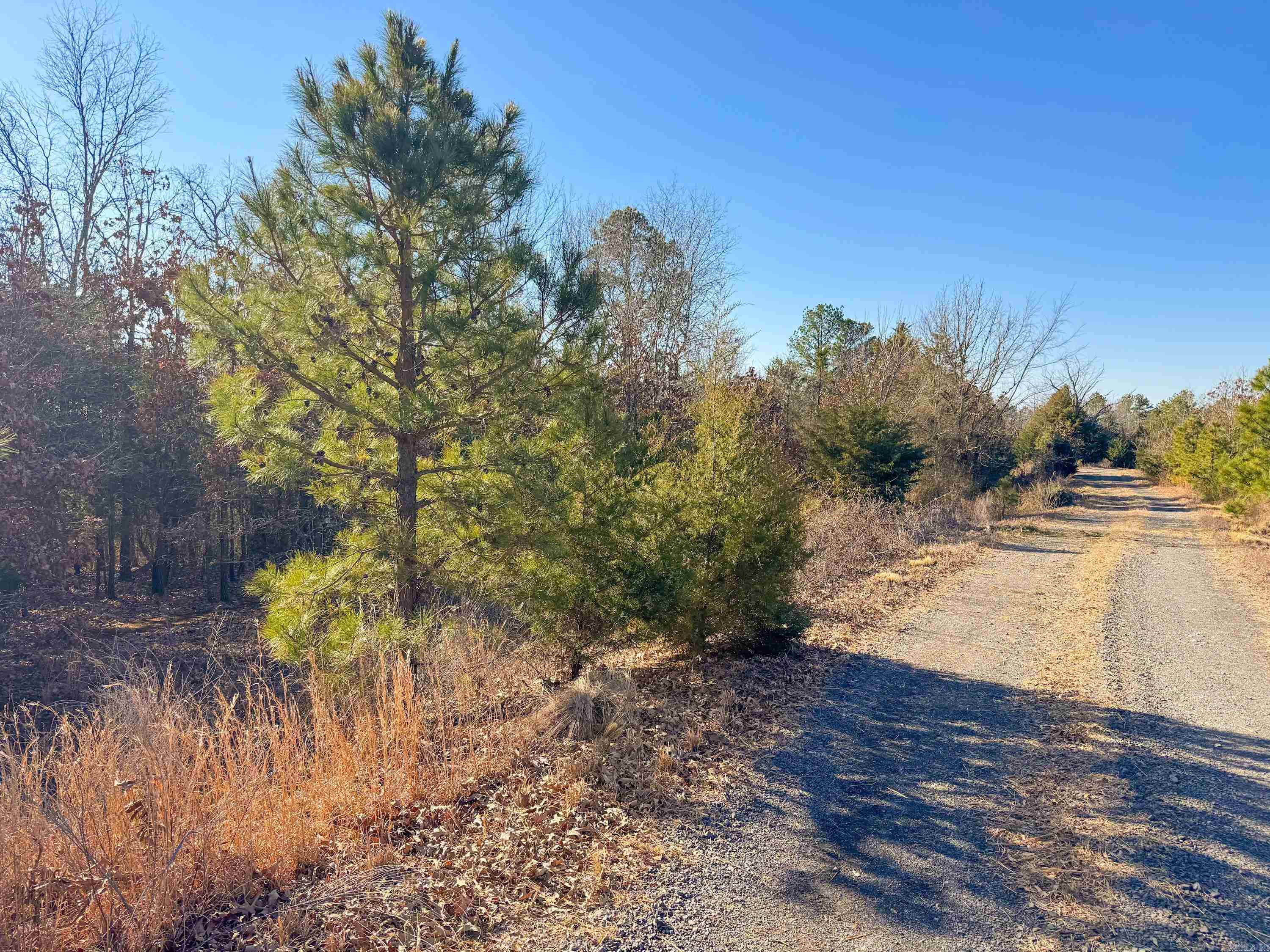 Metes & Bounds - Land