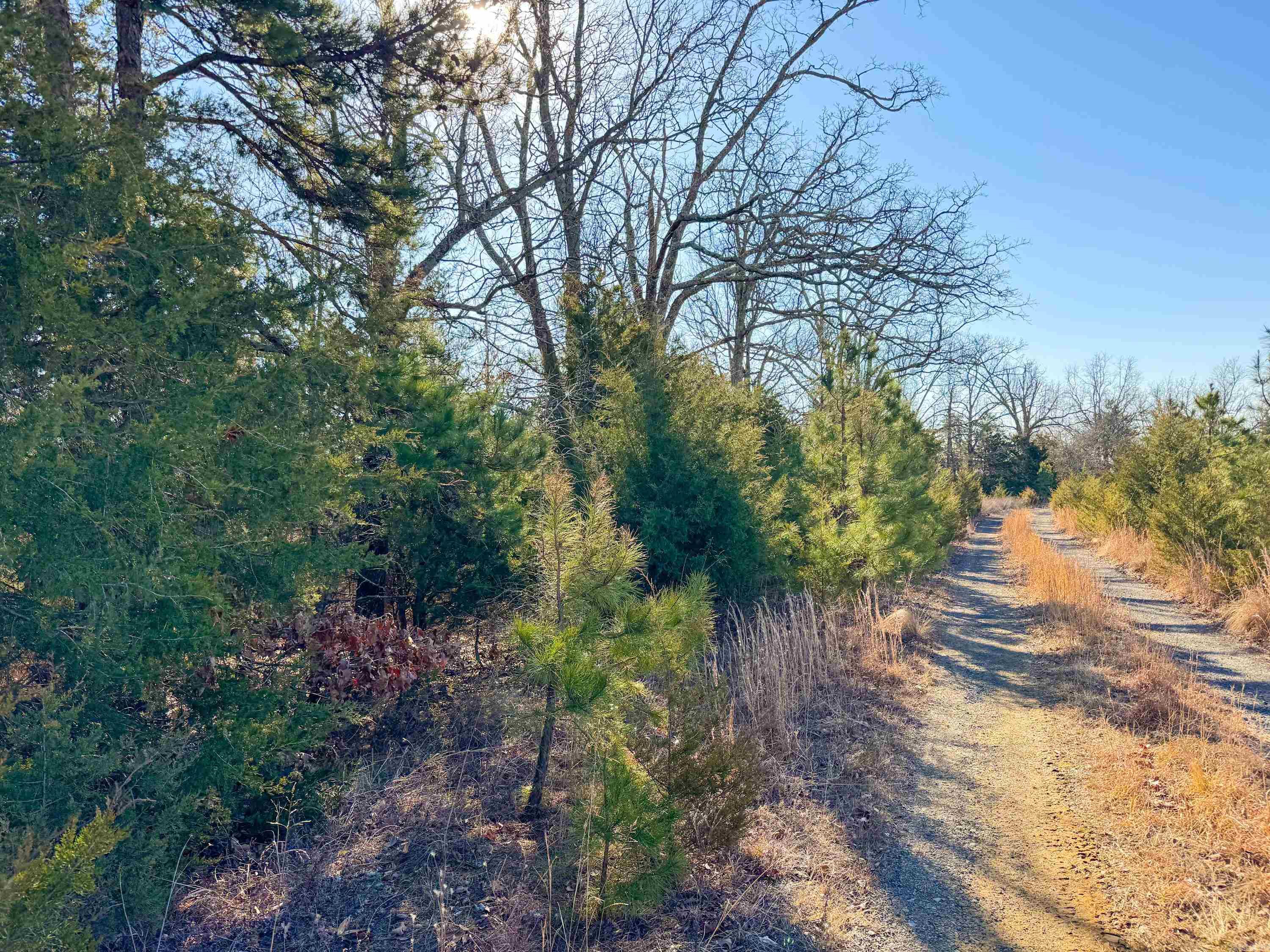 Metes & Bounds - Land