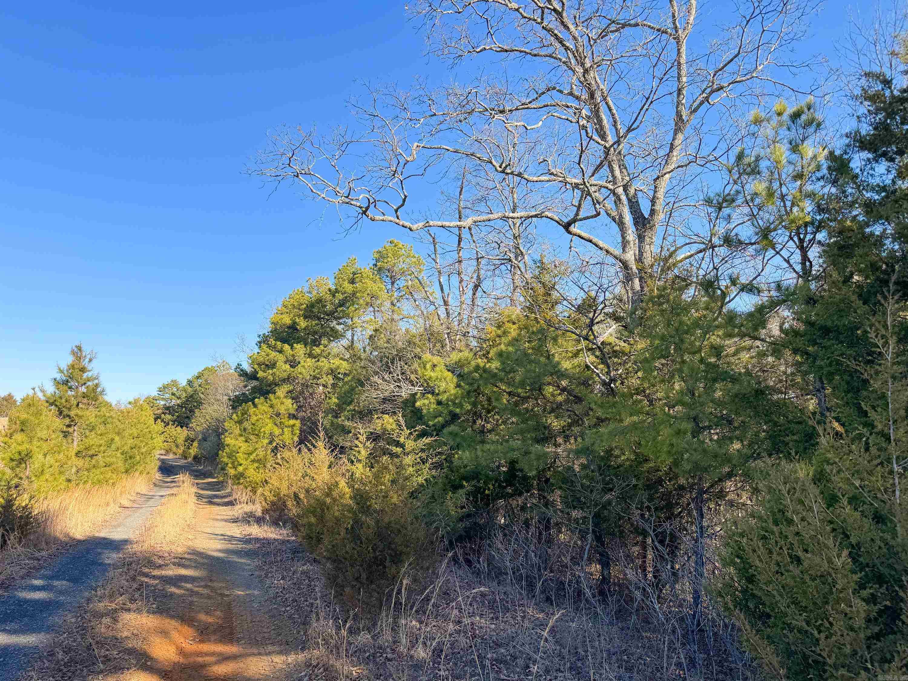 Metes & Bounds - Land