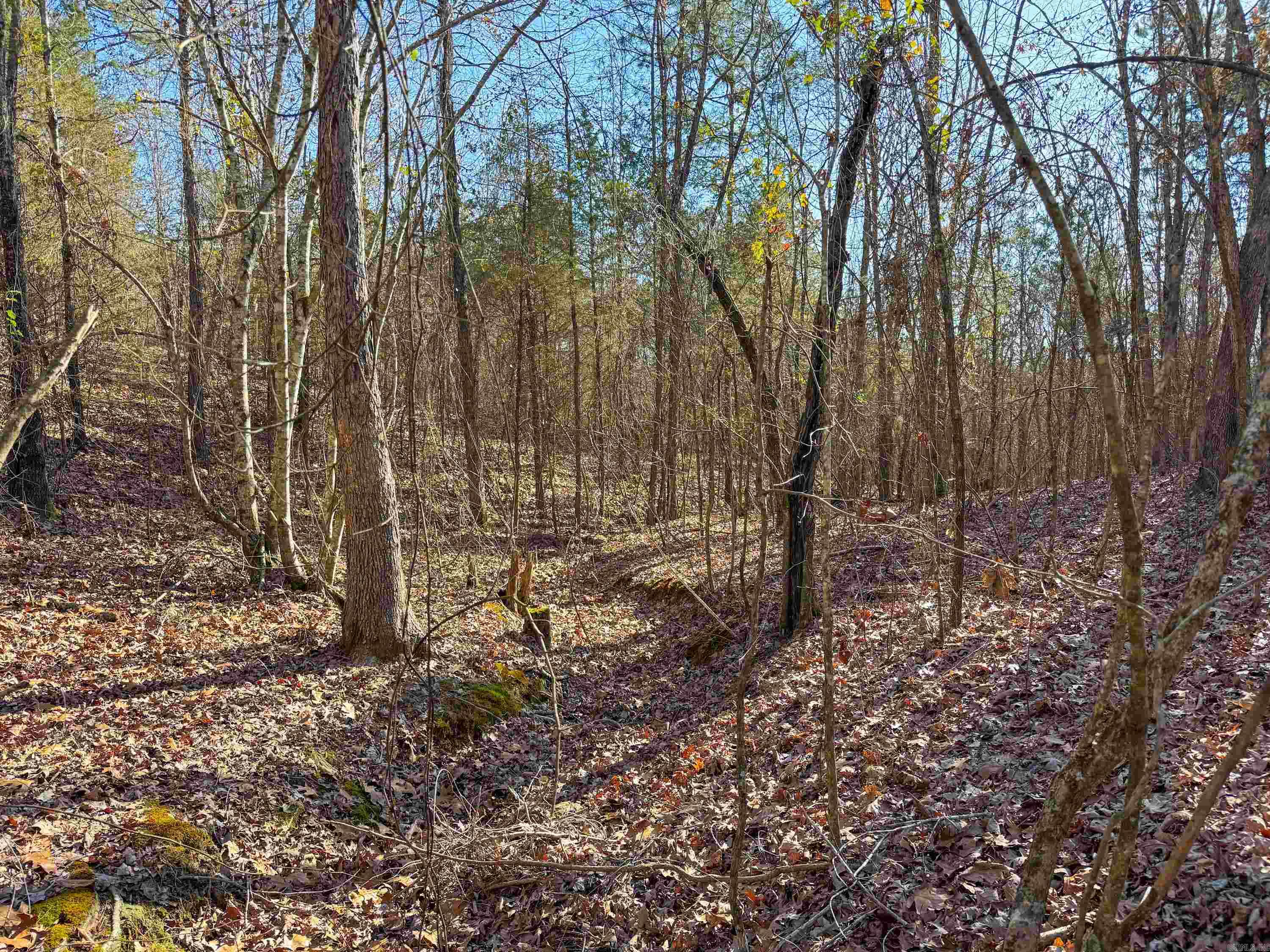 Metes & Bounds - Land